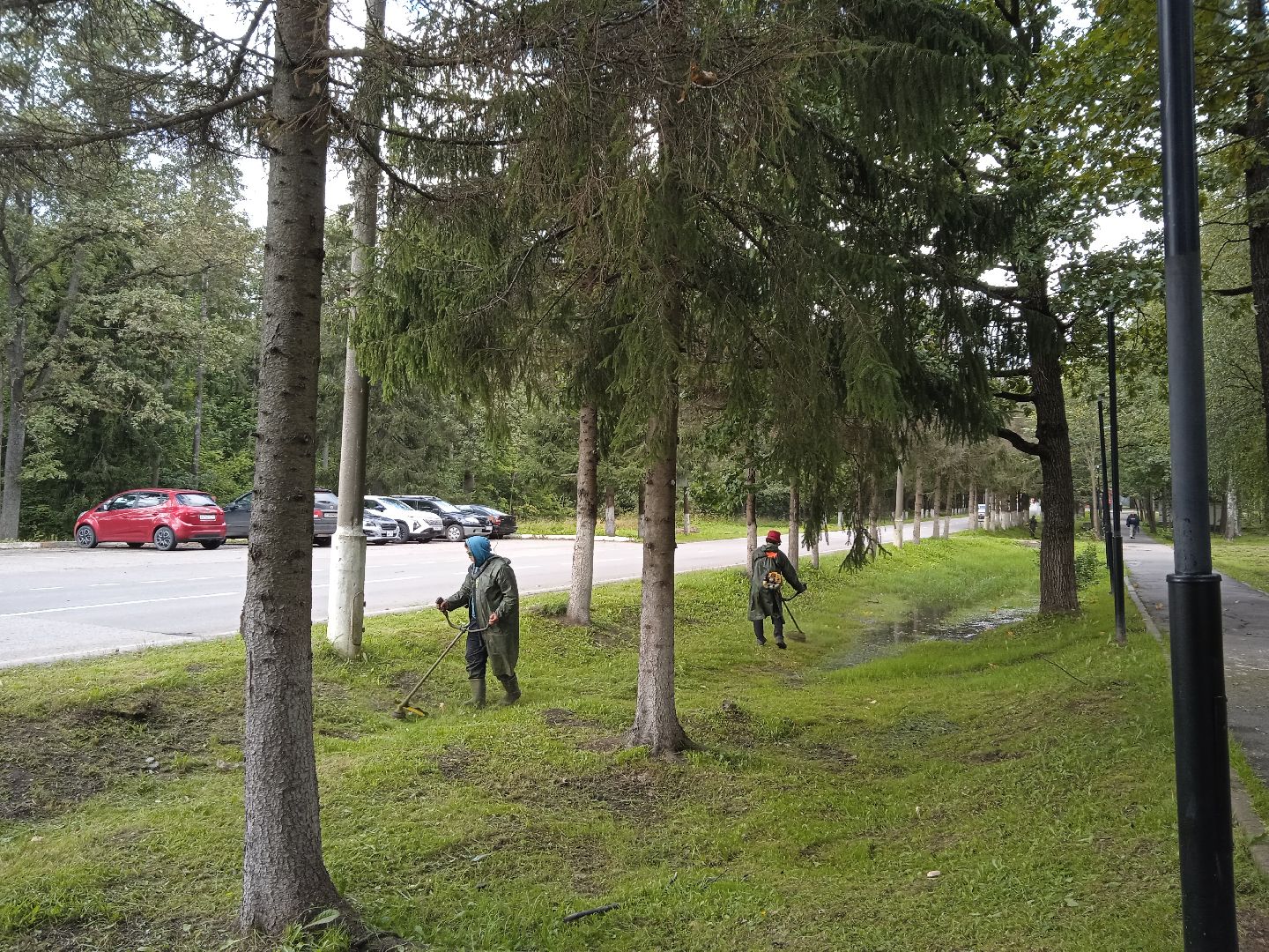 городской округ восход, благоустройство, жкх, покос травы,