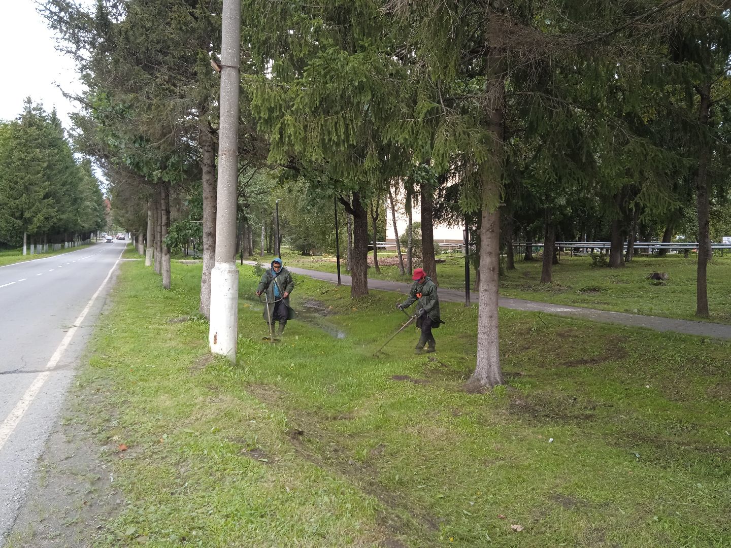 городской округ восход, благоустройство, жкх, покос травы,