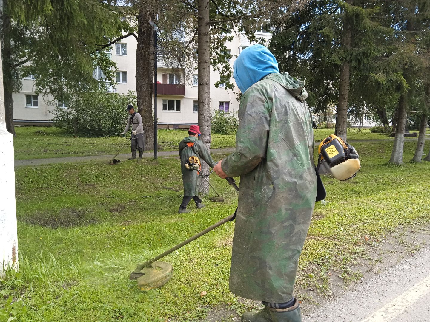 городской округ восход, благоустройство, жкх, покос травы,