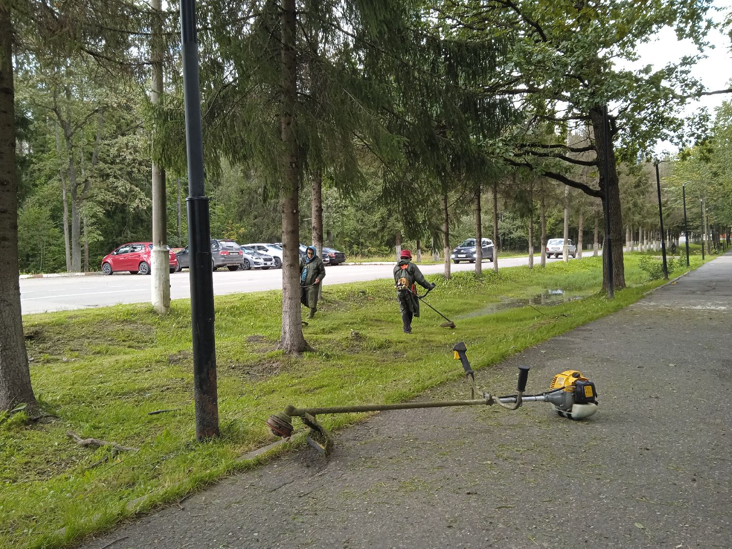 городской округ восход, благоустройство, жкх, покос травы,