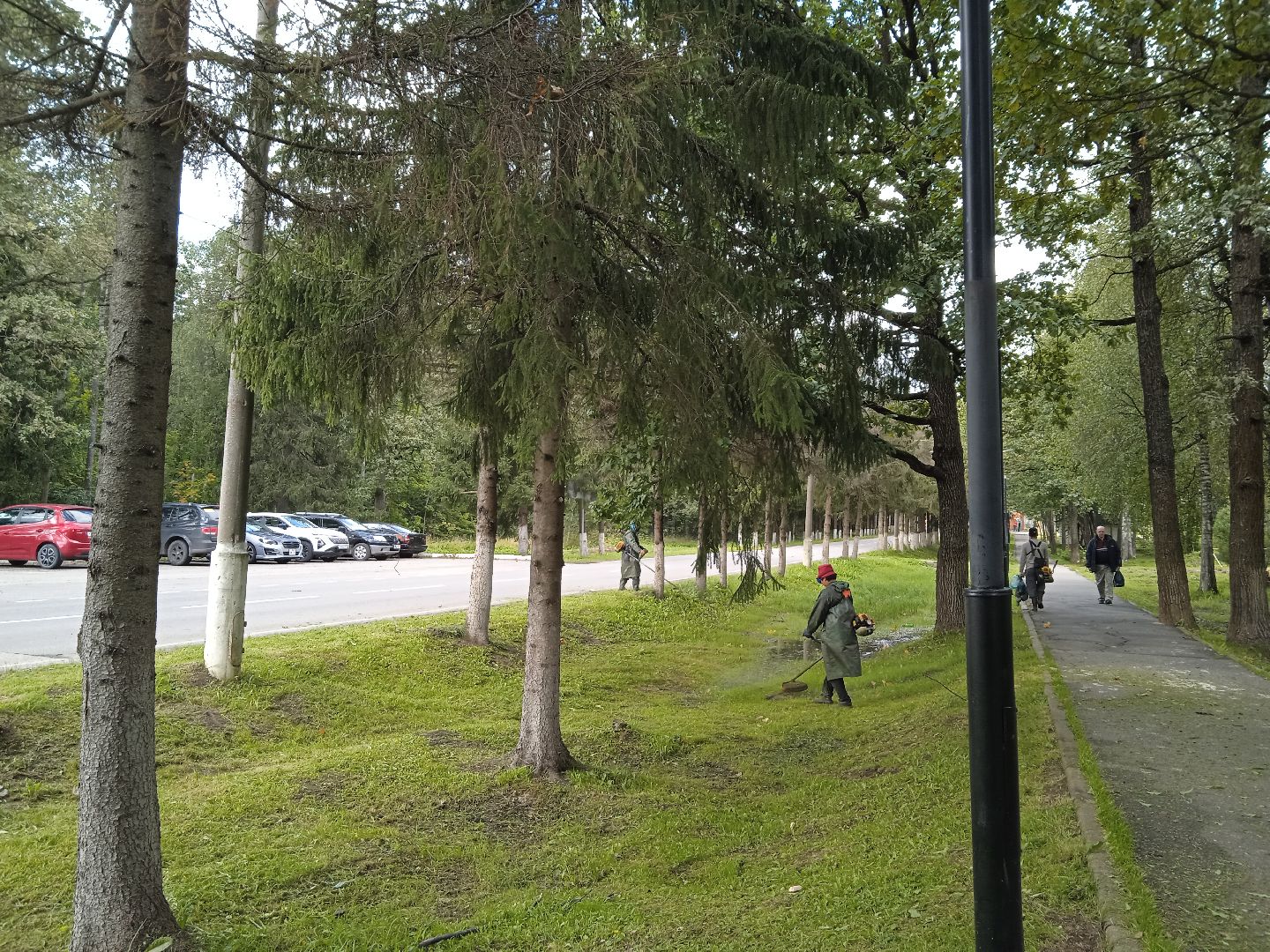 городской округ восход, благоустройство, жкх, покос травы,