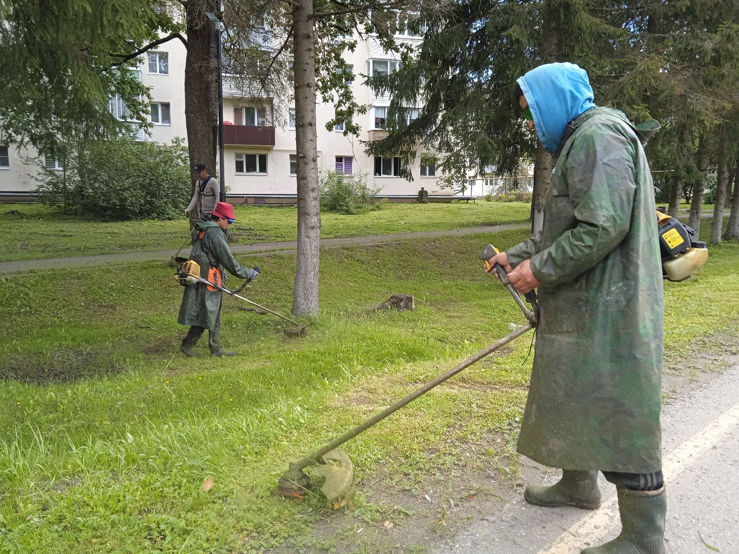городской округ восход, благоустройство, жкх, покос травы,