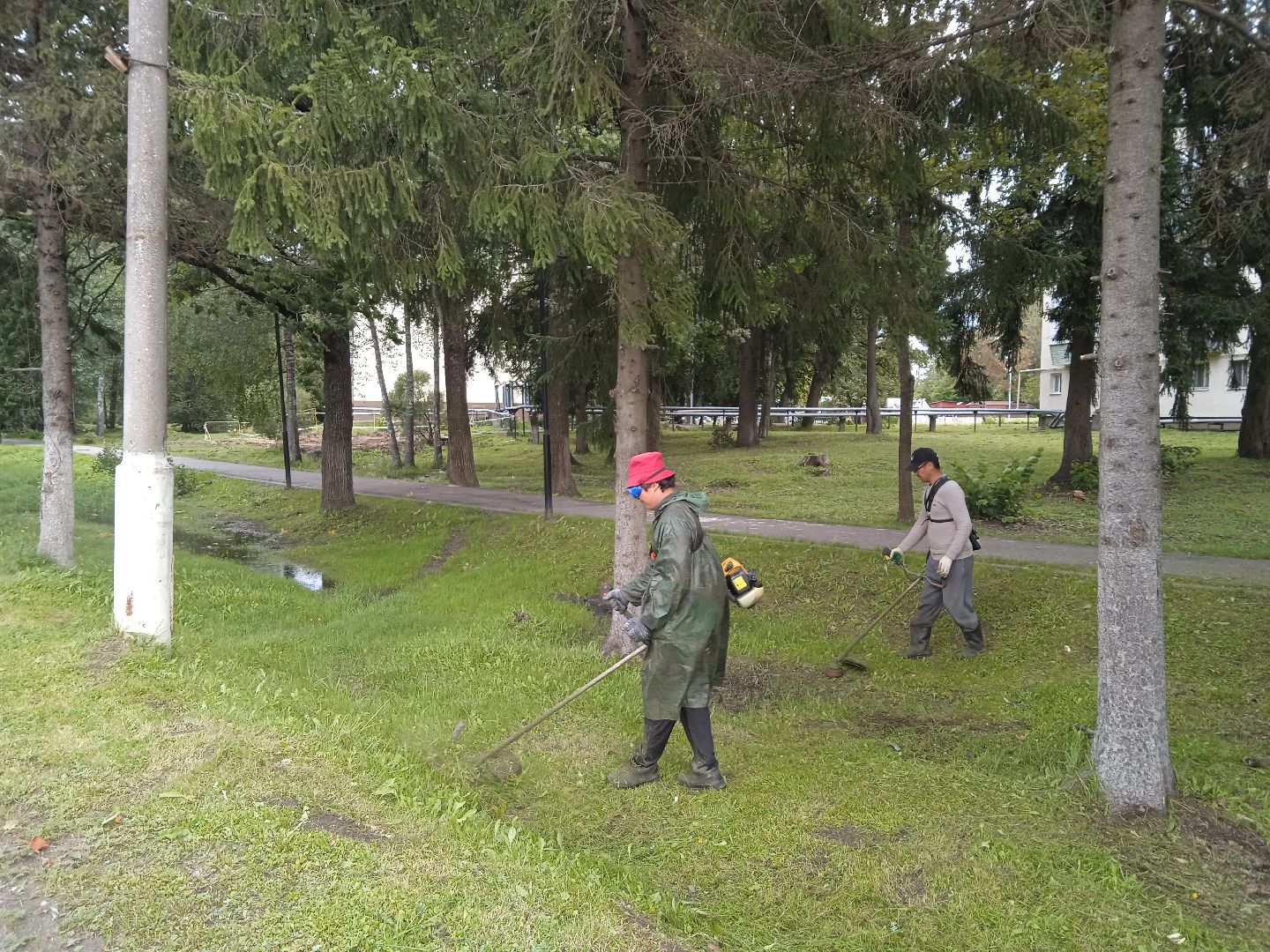 городской округ восход, благоустройство, жкх, покос травы,
