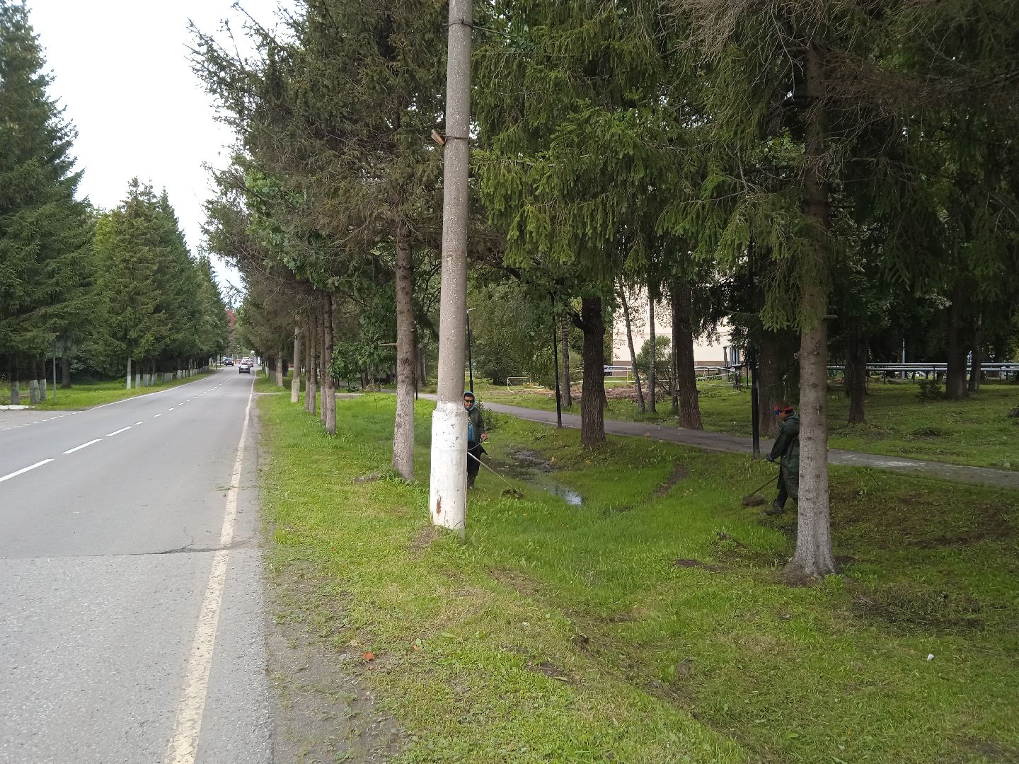 городской округ восход, благоустройство, жкх, покос травы,