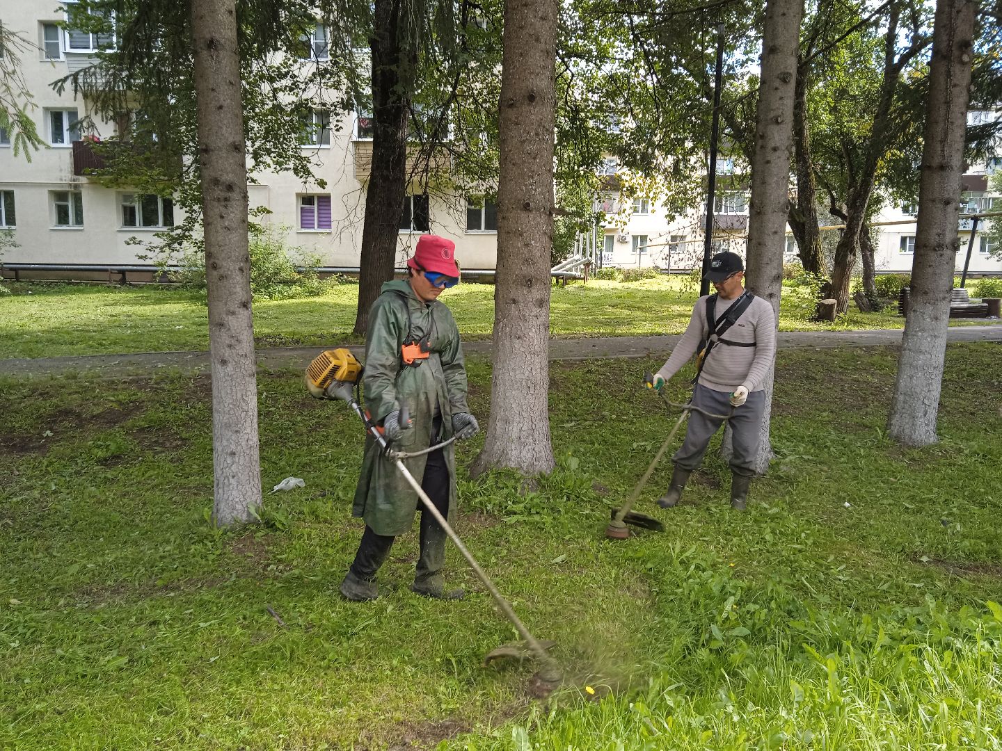 городской округ восход, благоустройство, жкх, покос травы,