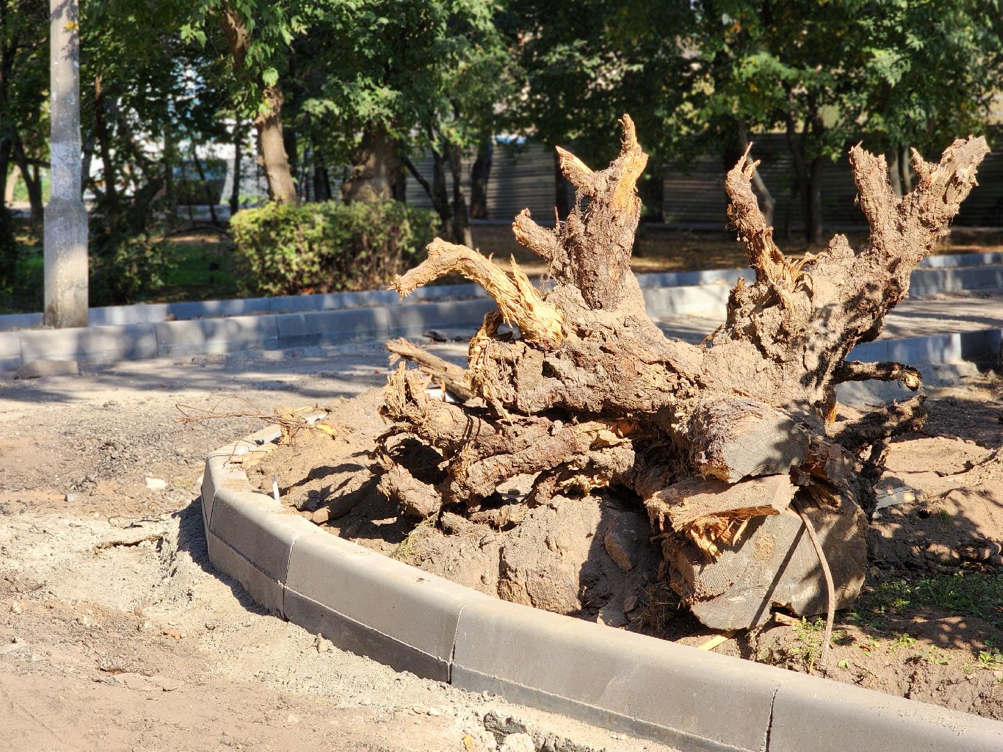 благоустройство, благоустройство двора, комфортная городская среда, старая купавна, богородский городской округ,