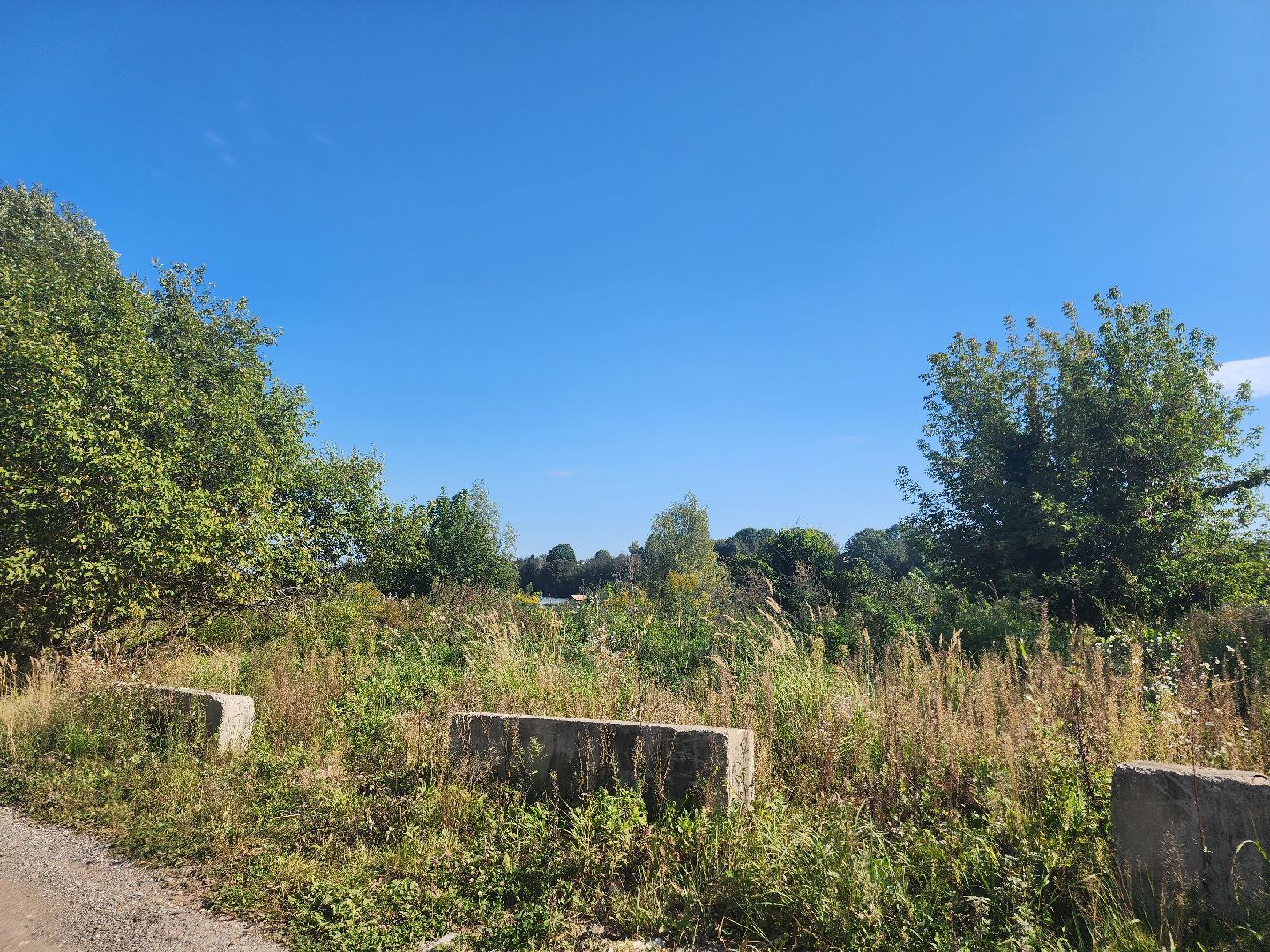 выездная администрация, одинцовский округ, назарьево, самозахват,