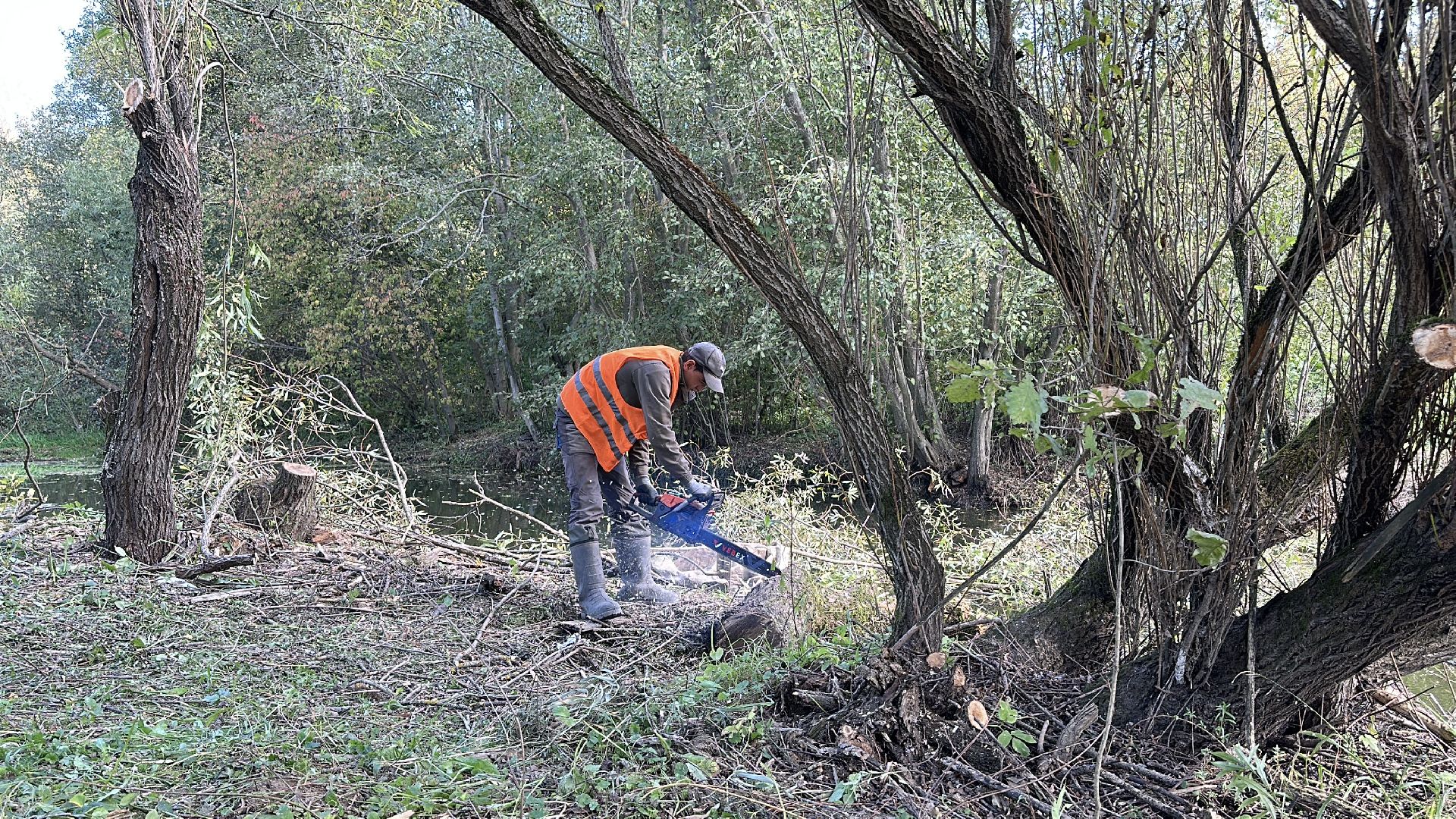 Расчистка реки, пушкинский городской округ, ивантеевка, Река Скалба, экология,