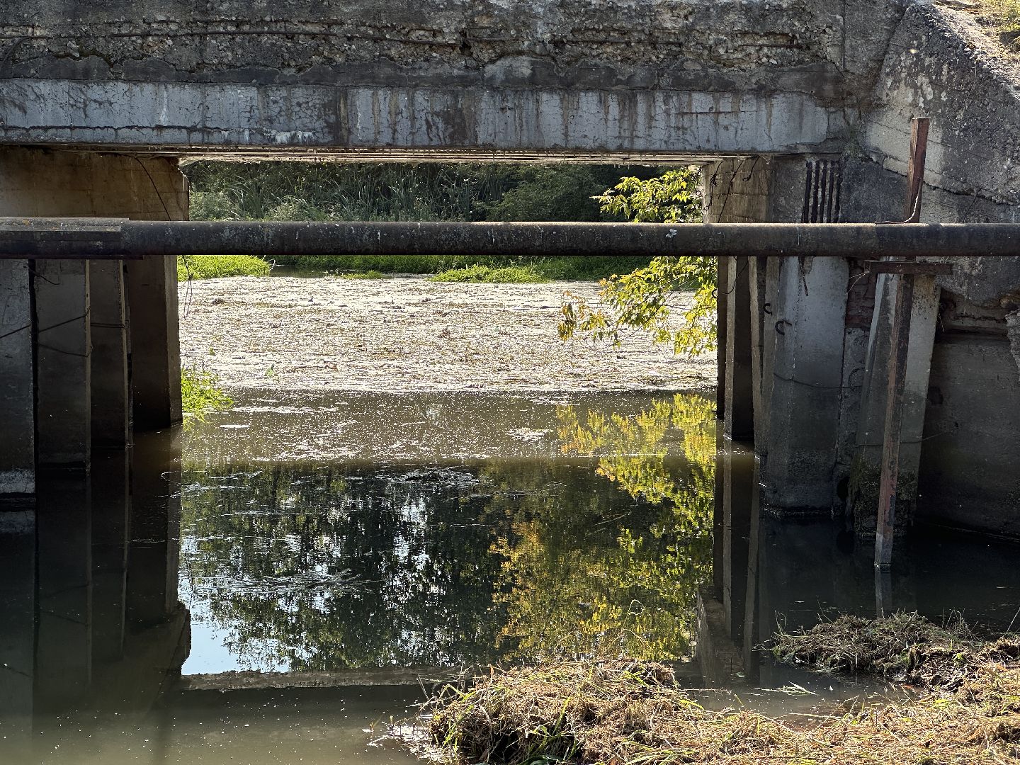 Расчистка реки, пушкинский городской округ, ивантеевка, Река Скалба, экология,