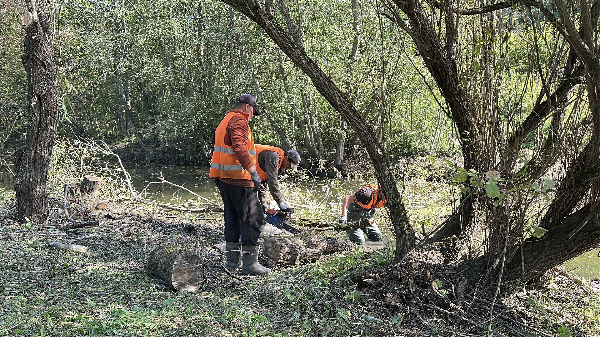 Расчистка реки, пушкинский городской округ, ивантеевка, Река Скалба, экология,