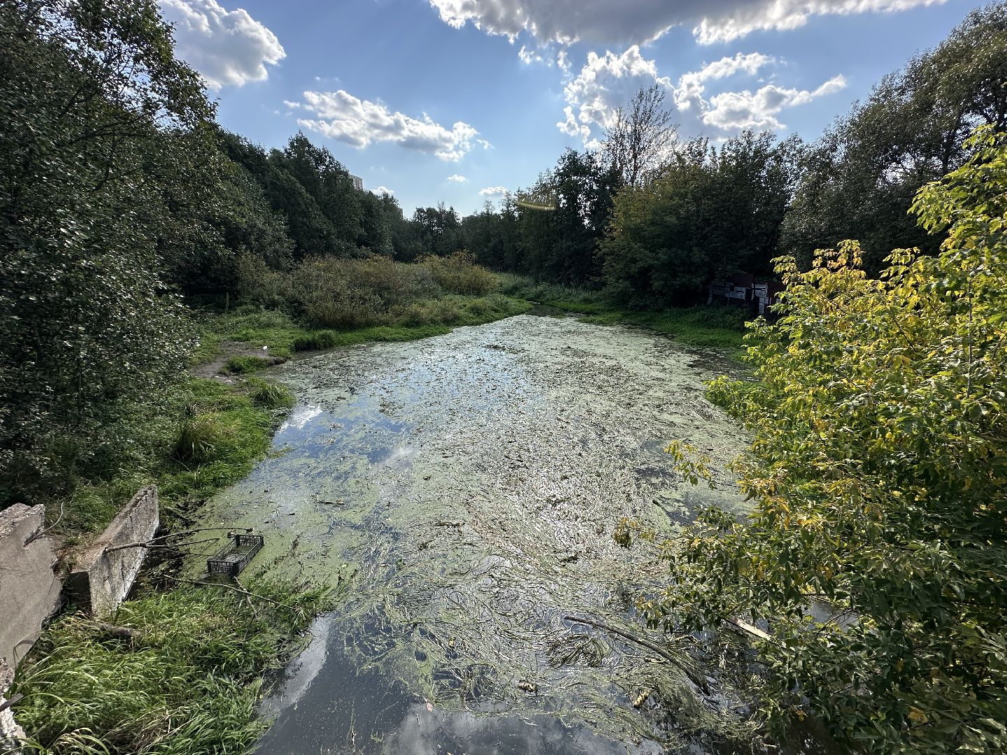 Расчистка реки, пушкинский городской округ, ивантеевка, Река Скалба, экология,