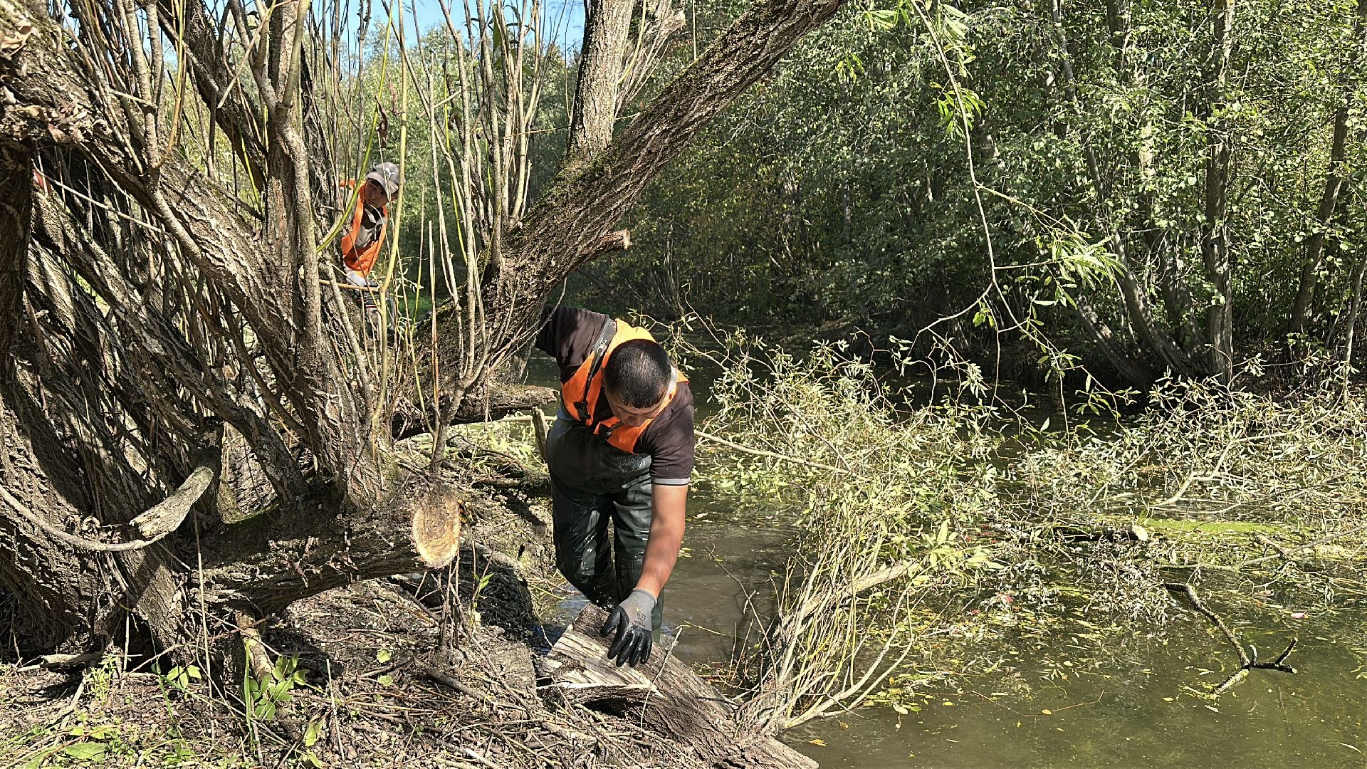 Расчистка реки, пушкинский городской округ, ивантеевка, Река Скалба, экология,