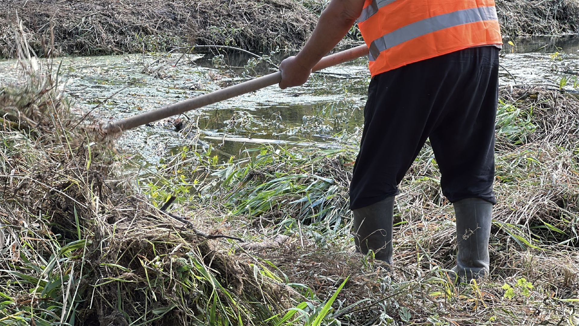 Расчистка реки, пушкинский городской округ, ивантеевка, Река Скалба, экология,