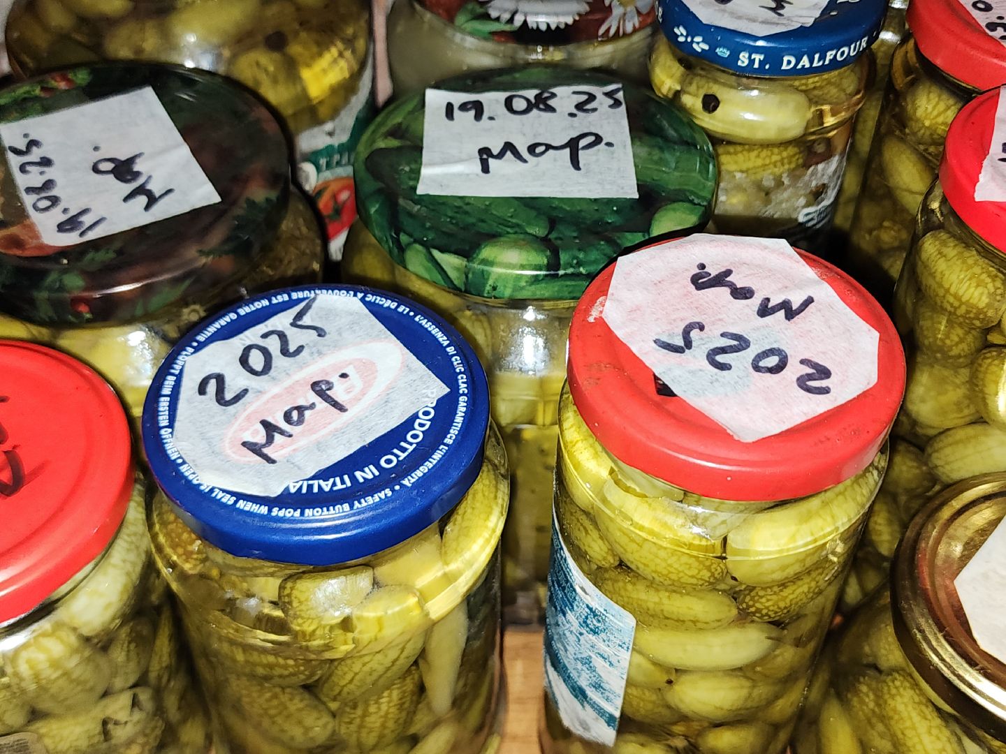 урожай, заготовки на зиму,  заготовка урожая,  старая купавна, богородский городской округ,