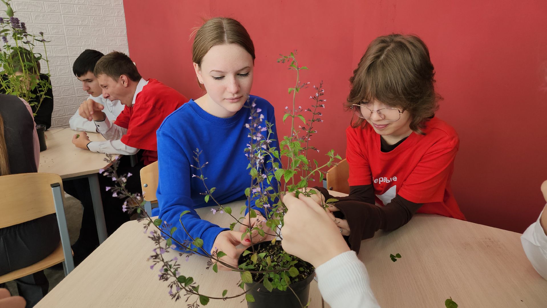 кашира, образование, движение первых, растениеводство, питомник растений, агрокласс, большое руново,