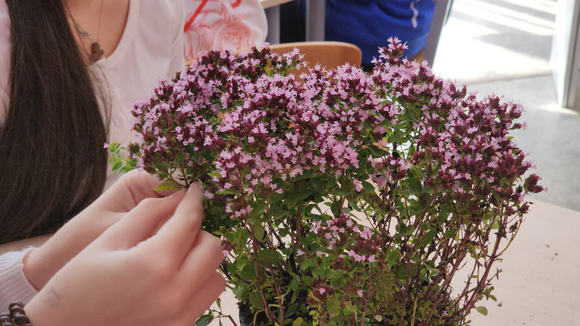 кашира, образование, движение первых, растениеводство, питомник растений, агрокласс, большое руново,