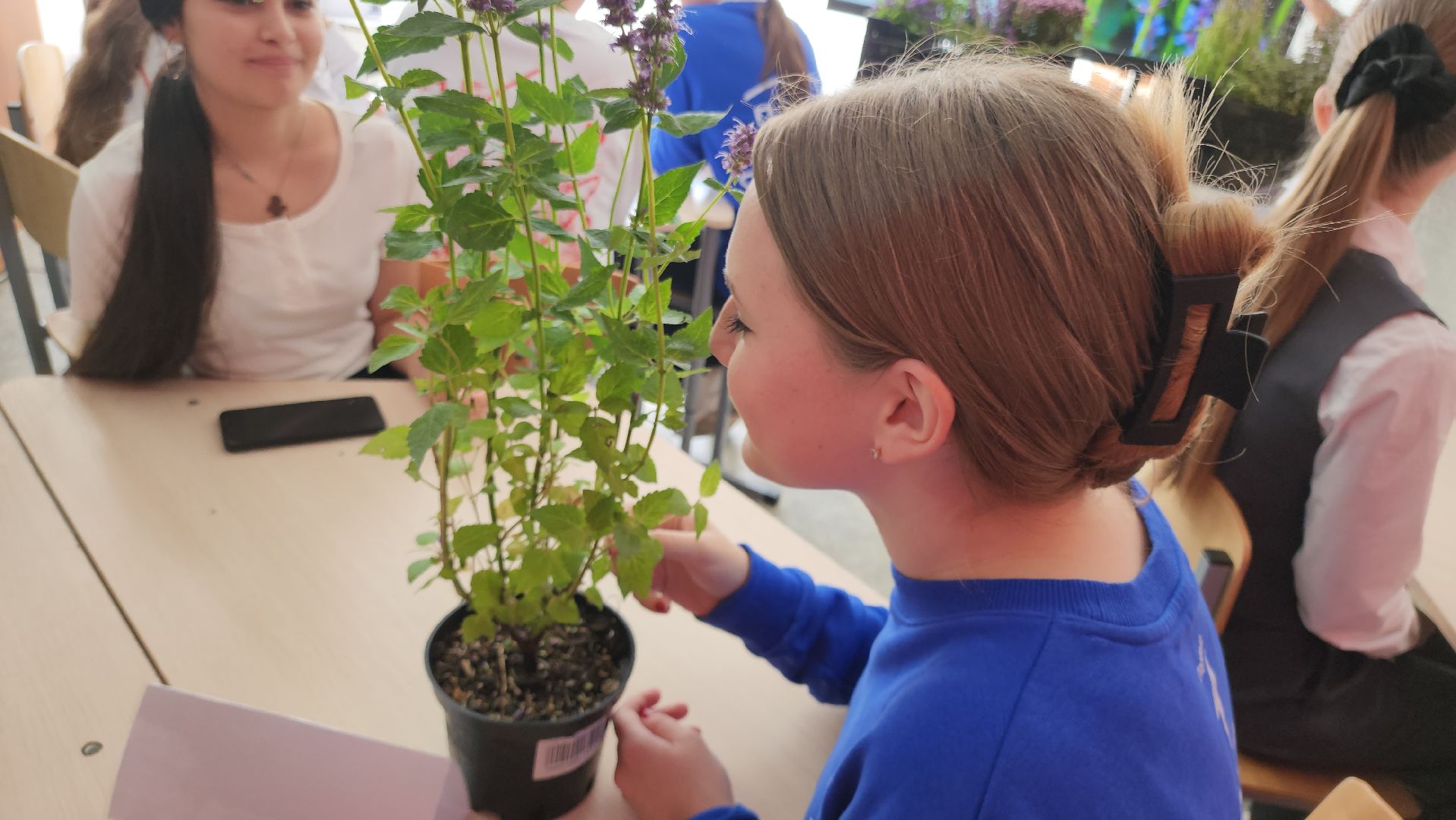 кашира, образование, движение первых, растениеводство, питомник растений, агрокласс, большое руново,