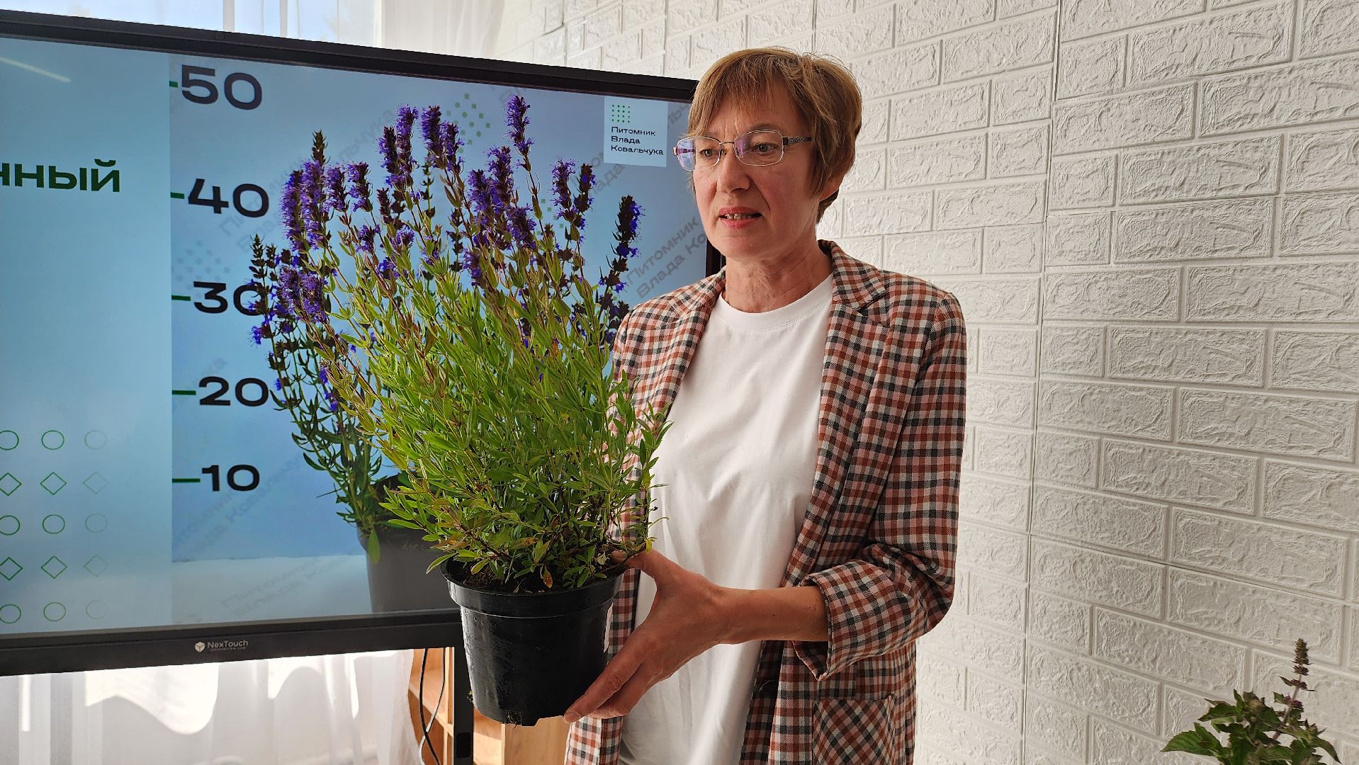 кашира, образование, движение первых, растениеводство, питомник растений, агрокласс, большое руново,