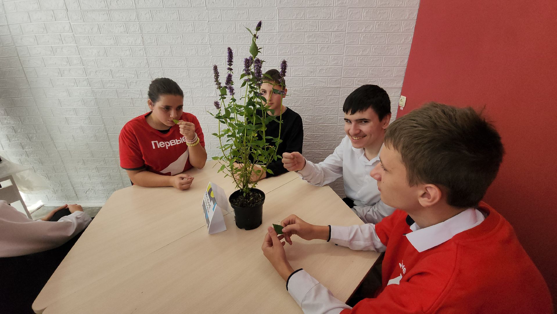 кашира, образование, движение первых, растениеводство, питомник растений, агрокласс, большое руново,