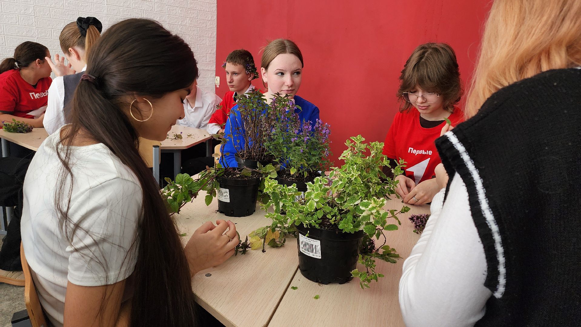 кашира, образование, движение первых, растениеводство, питомник растений, агрокласс, большое руново,
