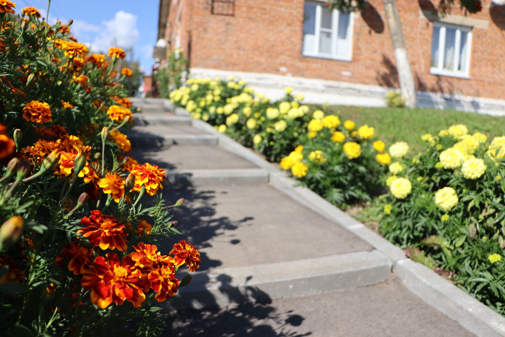 серебряные пруды, крутое, комплексное благоустройство двора,