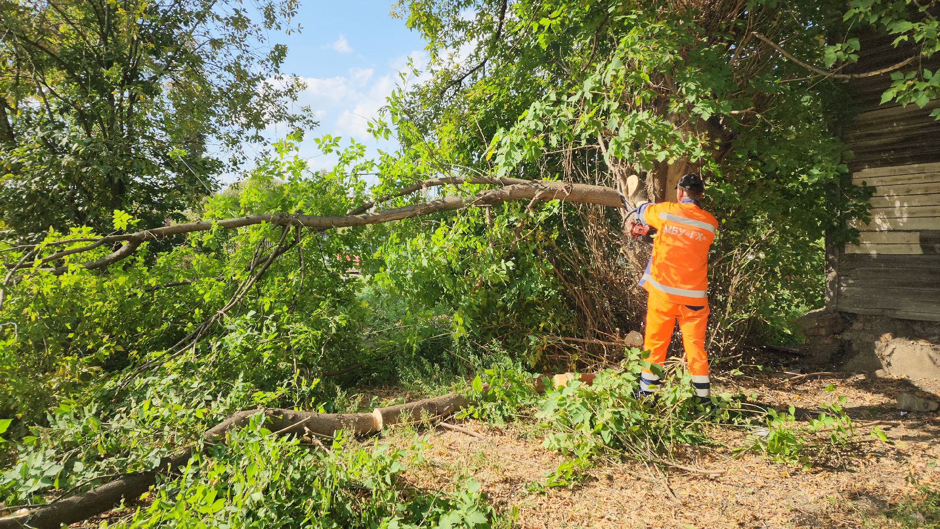 ивантеевка, пушкинский, снос аварийного жилья, снос дома, спил деревьев, городское хозяйство ивантеевка, коммунальная служба,аварийный дом,