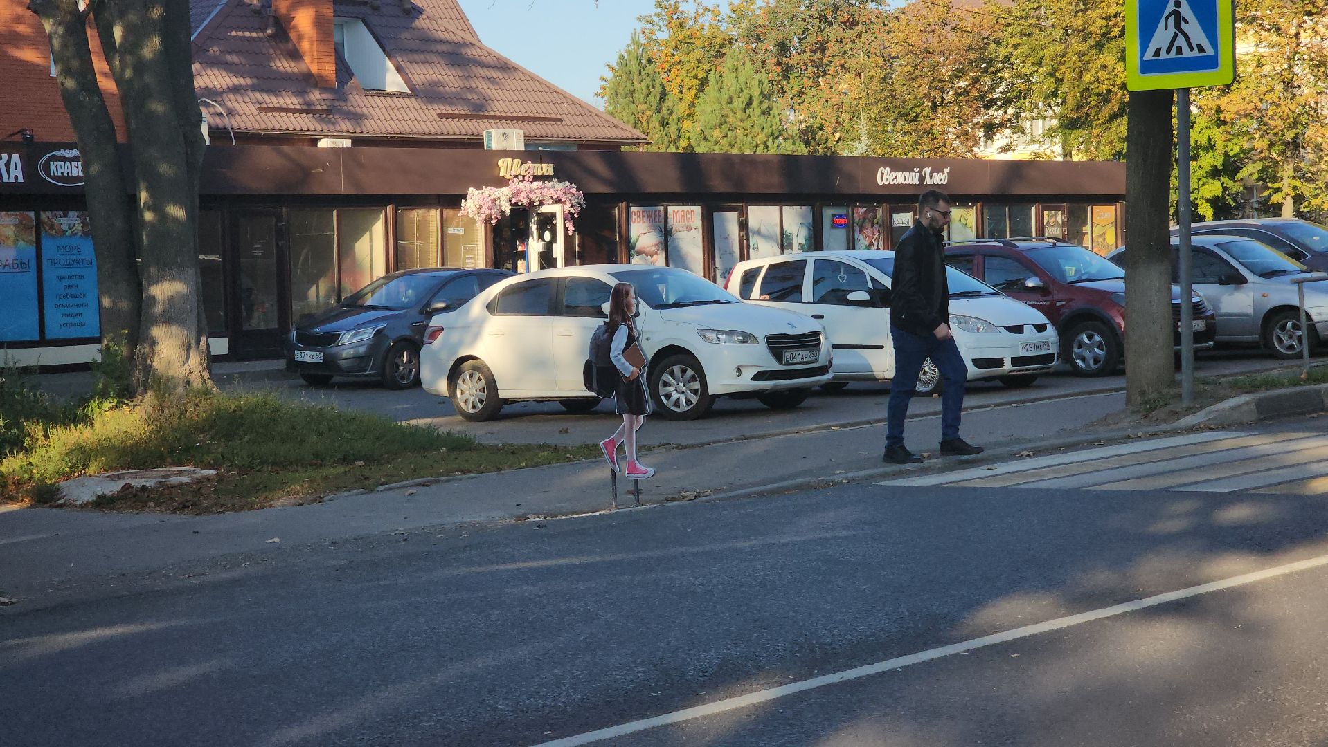 Зарайск, Реалистичные силуэты, Безопасность, ПДД,Муляжи на пешеходных переходах Зарайска,