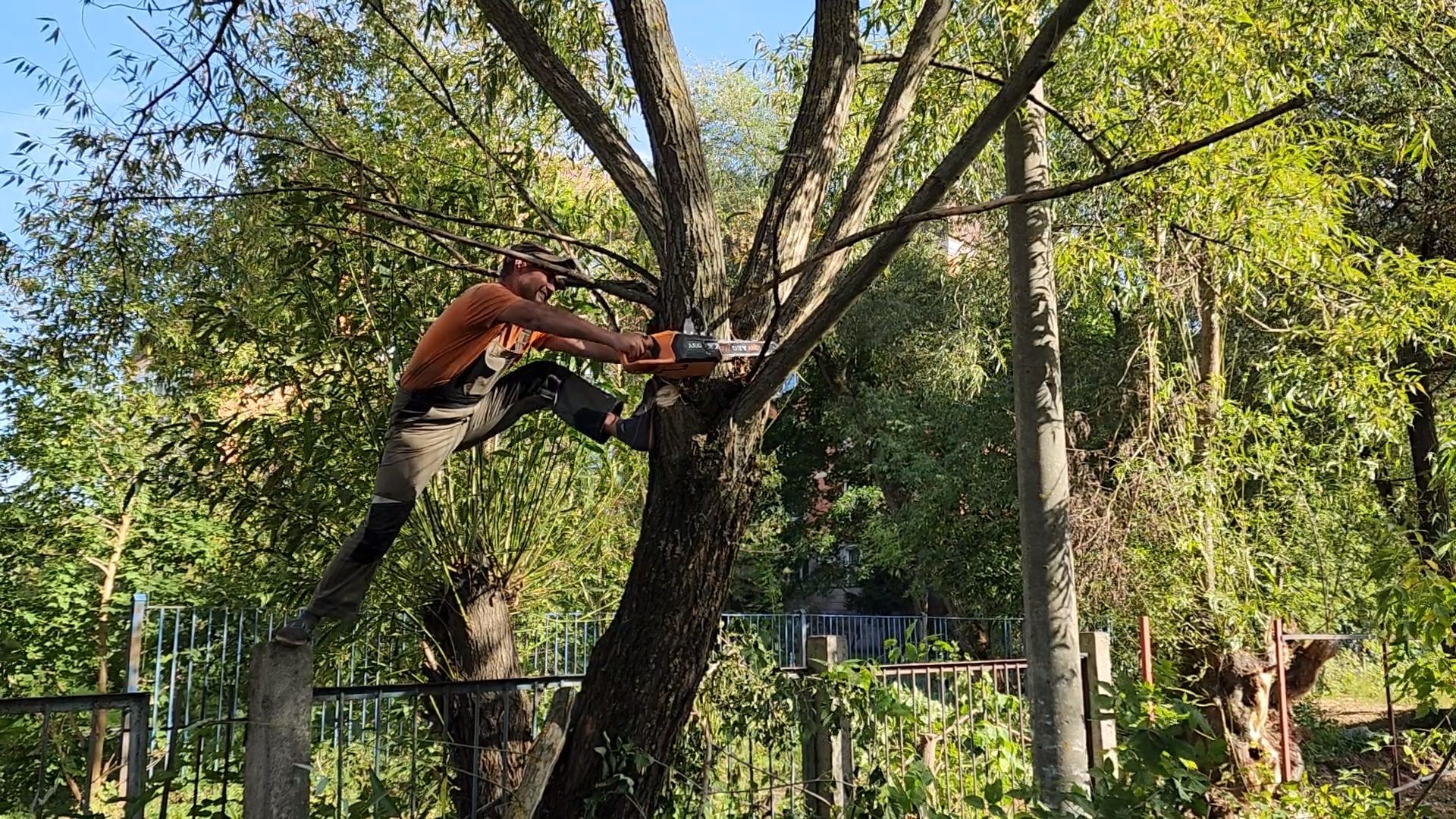 чехов, улица чехова 8а, гимназия 2, пристройка на 550 мест, строительство, начало работ, опиловка деревьев, удаление аварийных деревьев, удаление сухостоя, установка новых ограждений, планировка, строительный городок, завоз материалов, спецтехника, госпрограмма московской области, губернатор подмосковья, устранение второй смены, новый корпус,