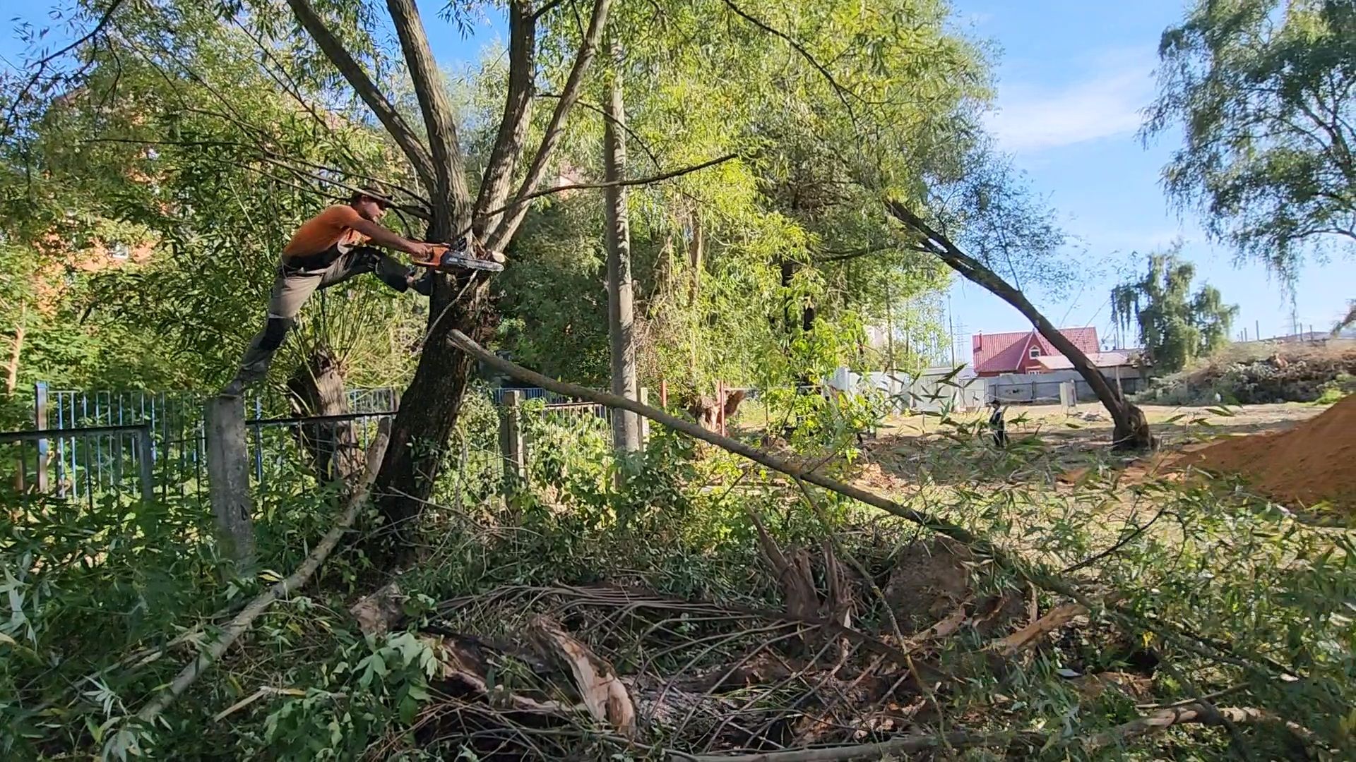 чехов, улица чехова 8а, гимназия 2, пристройка на 550 мест, строительство, начало работ, опиловка деревьев, удаление аварийных деревьев, удаление сухостоя, установка новых ограждений, планировка, строительный городок, завоз материалов, спецтехника, госпрограмма московской области, губернатор подмосковья, устранение второй смены, новый корпус,