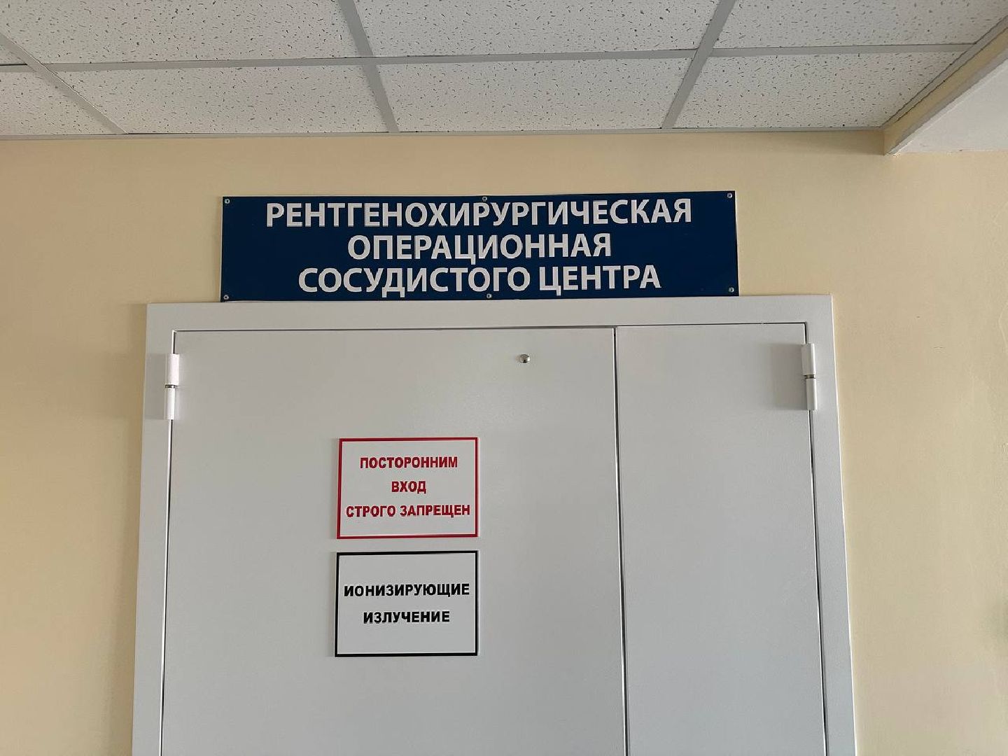 медицина, сосудистый центр, домодедово,