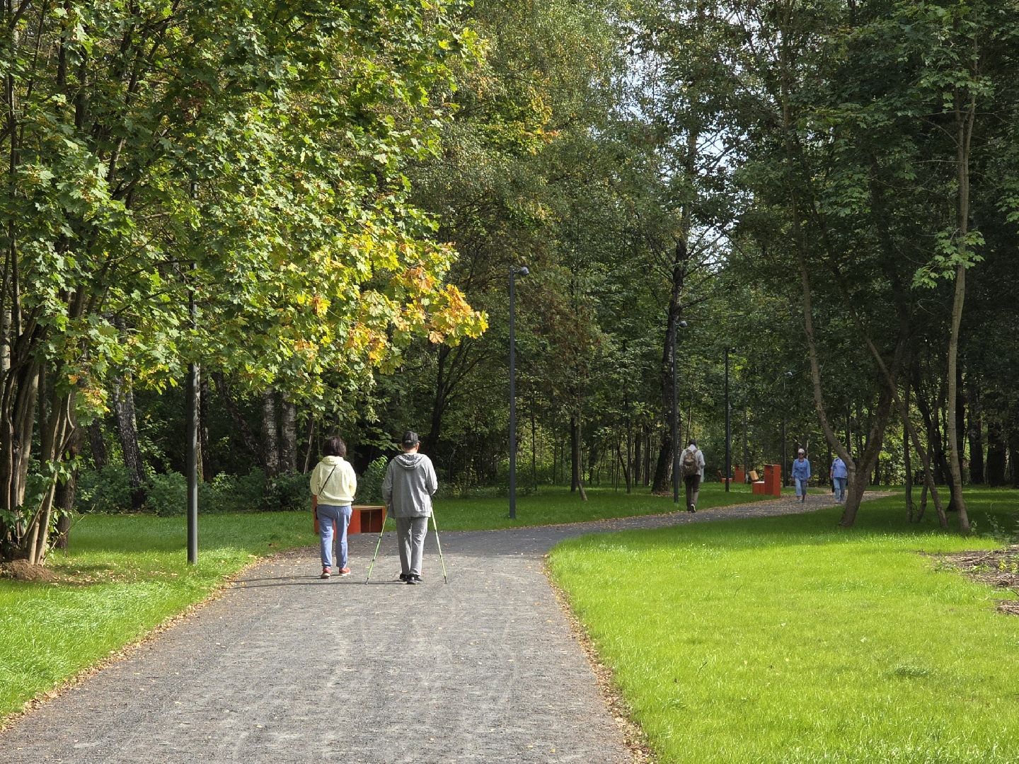 Коломна, благоустройство, парки в лесу,