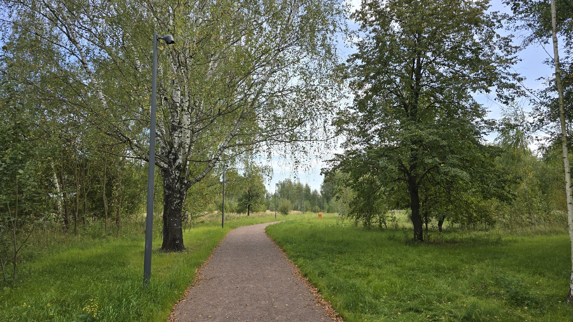Коломна, благоустройство, парки в лесу,