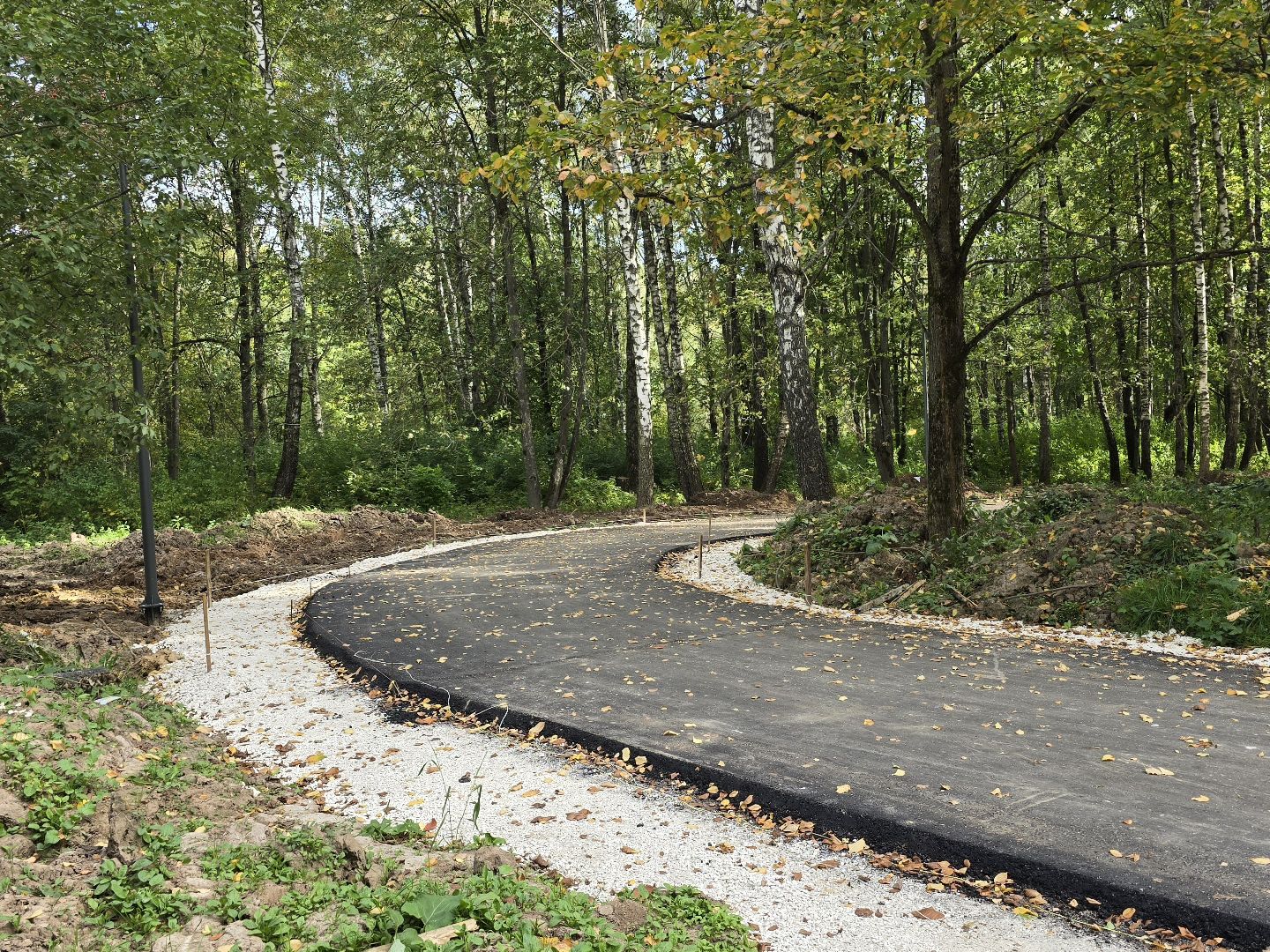 Коломна, благоустройство, парки в лесу,