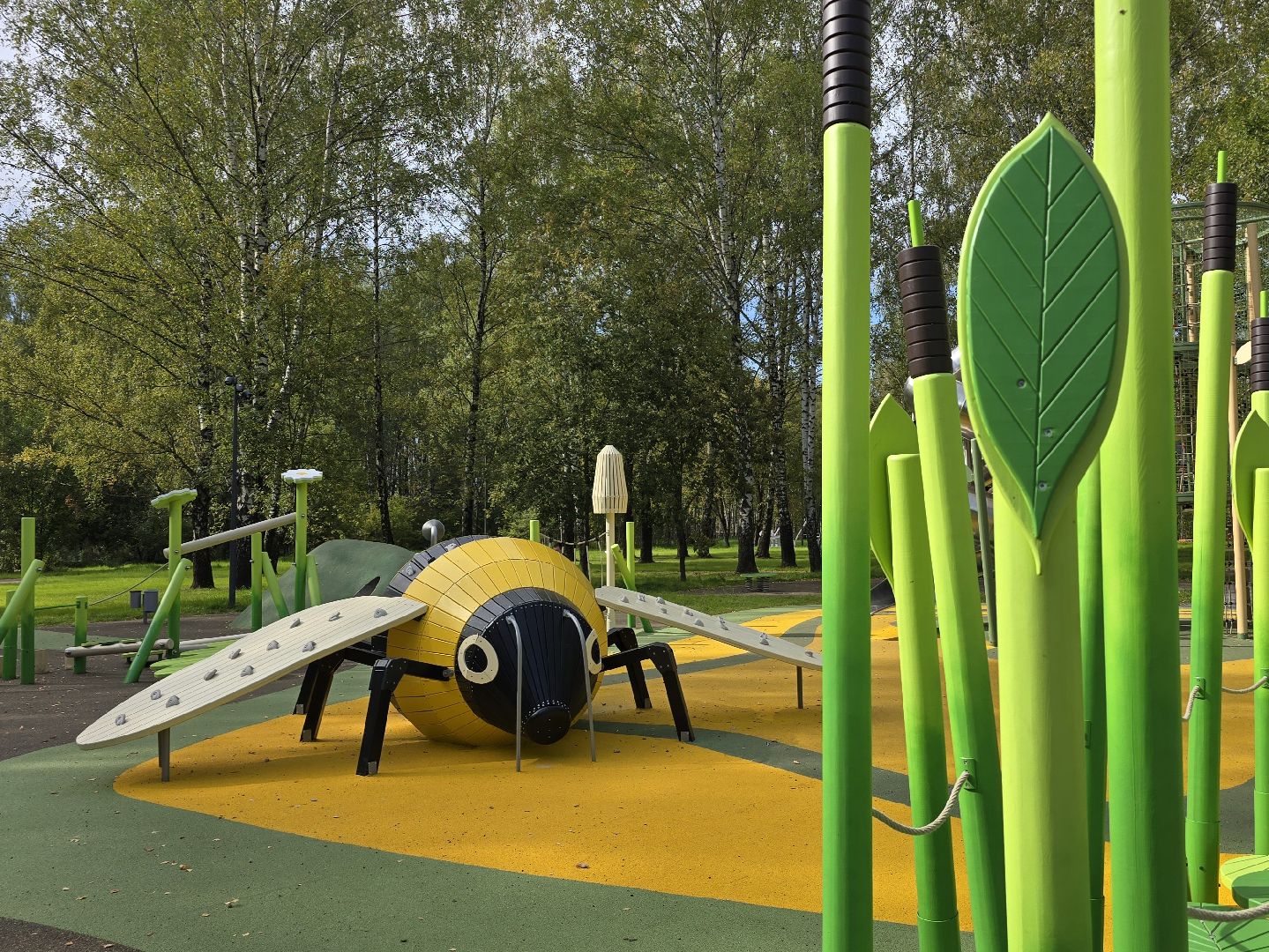 Коломна, благоустройство, парки в лесу,