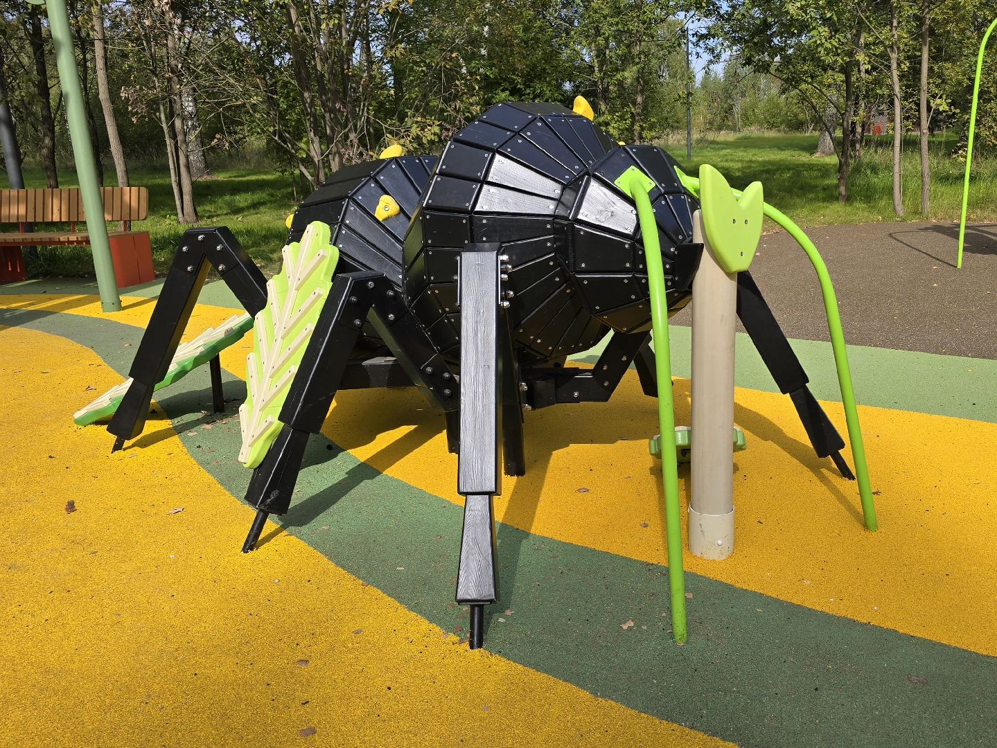 Коломна, благоустройство, парки в лесу,