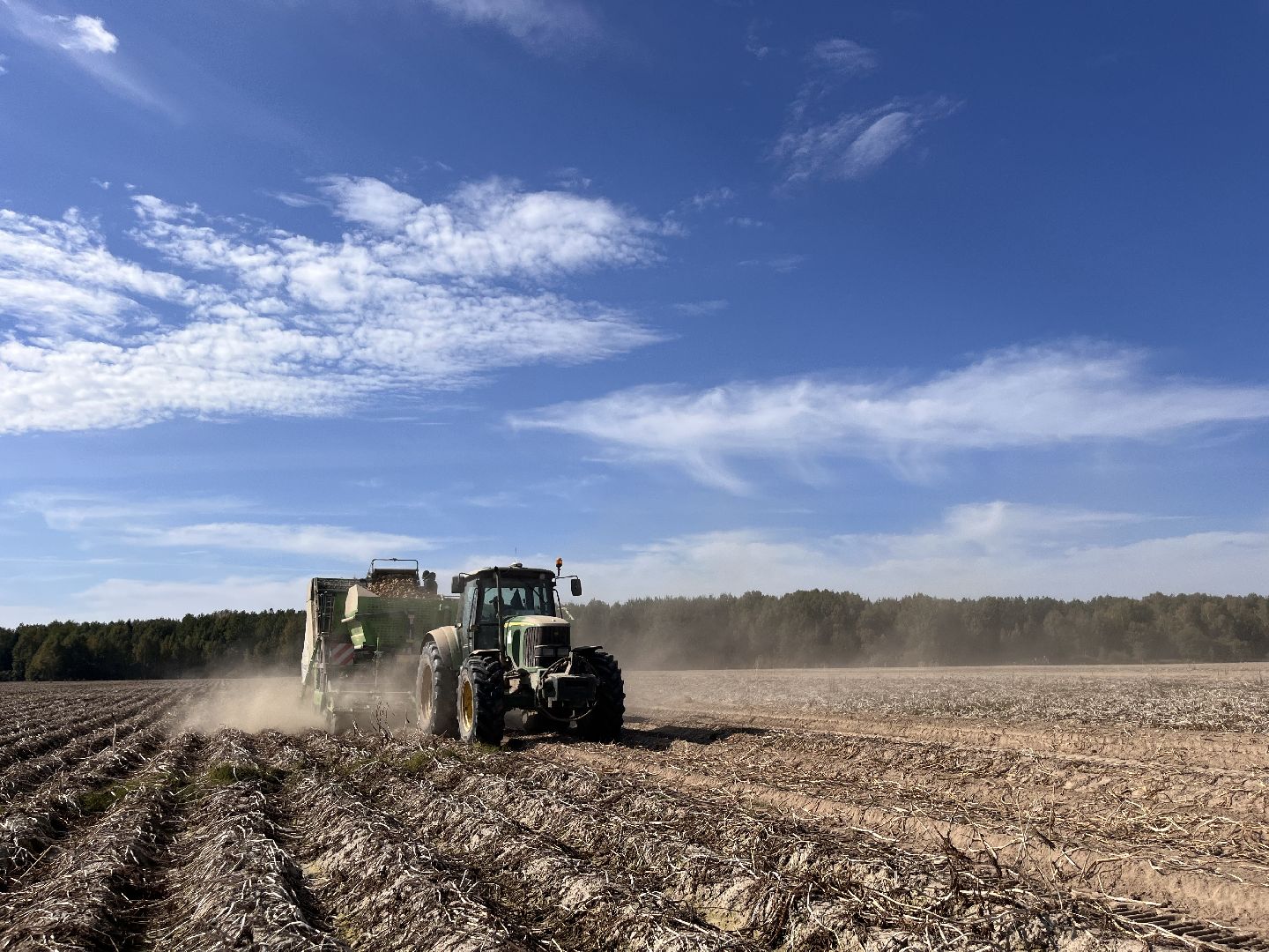 Урожай картофеля, сбор урожая, шатура, шатура новости, Шатура сельское хозяйство,
