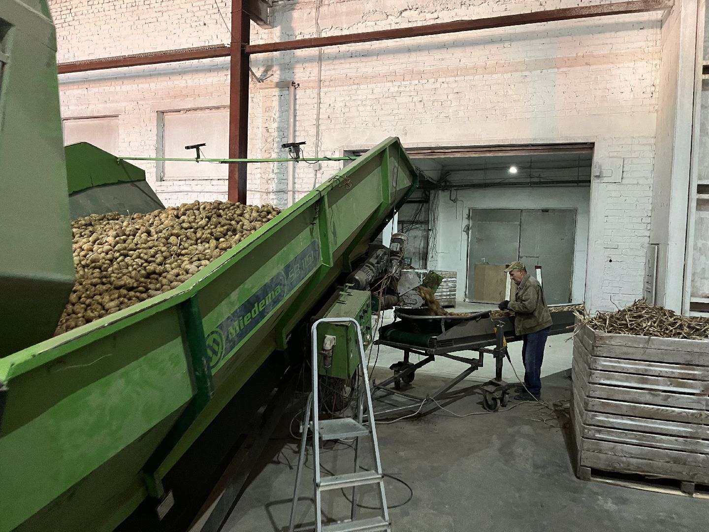 Урожай картофеля, сбор урожая, шатура, шатура новости, Шатура сельское хозяйство,