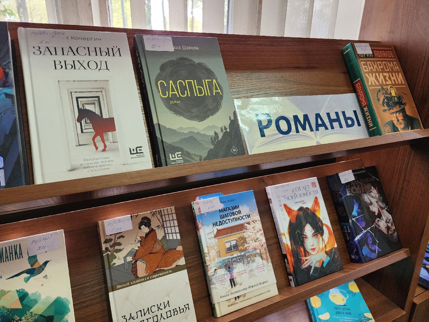 фрязино, чтение книг, библиотека, новые книги,