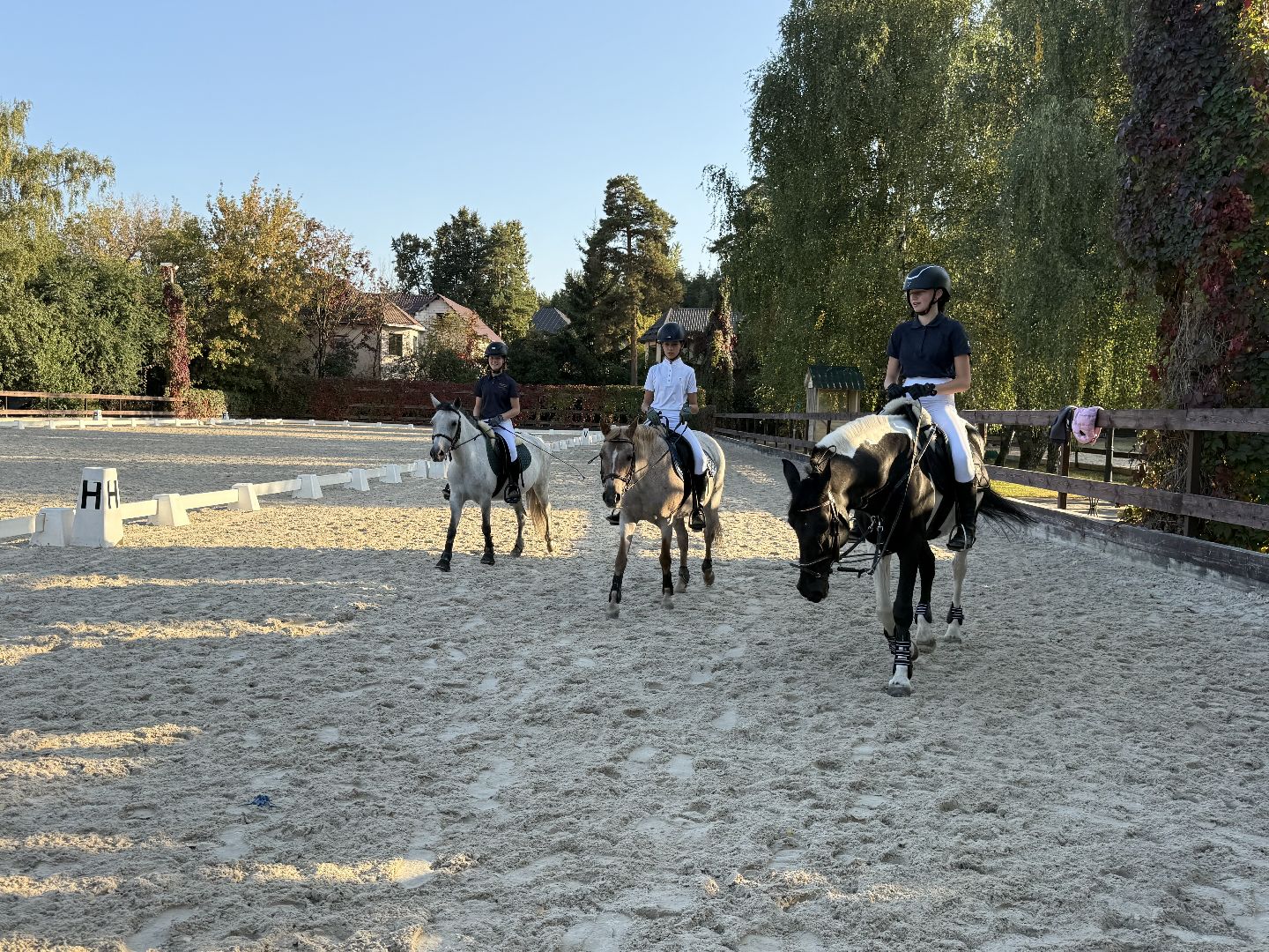 Котельники, Конный спорт, соревнование, Первенство по троеборью, Медалисты,