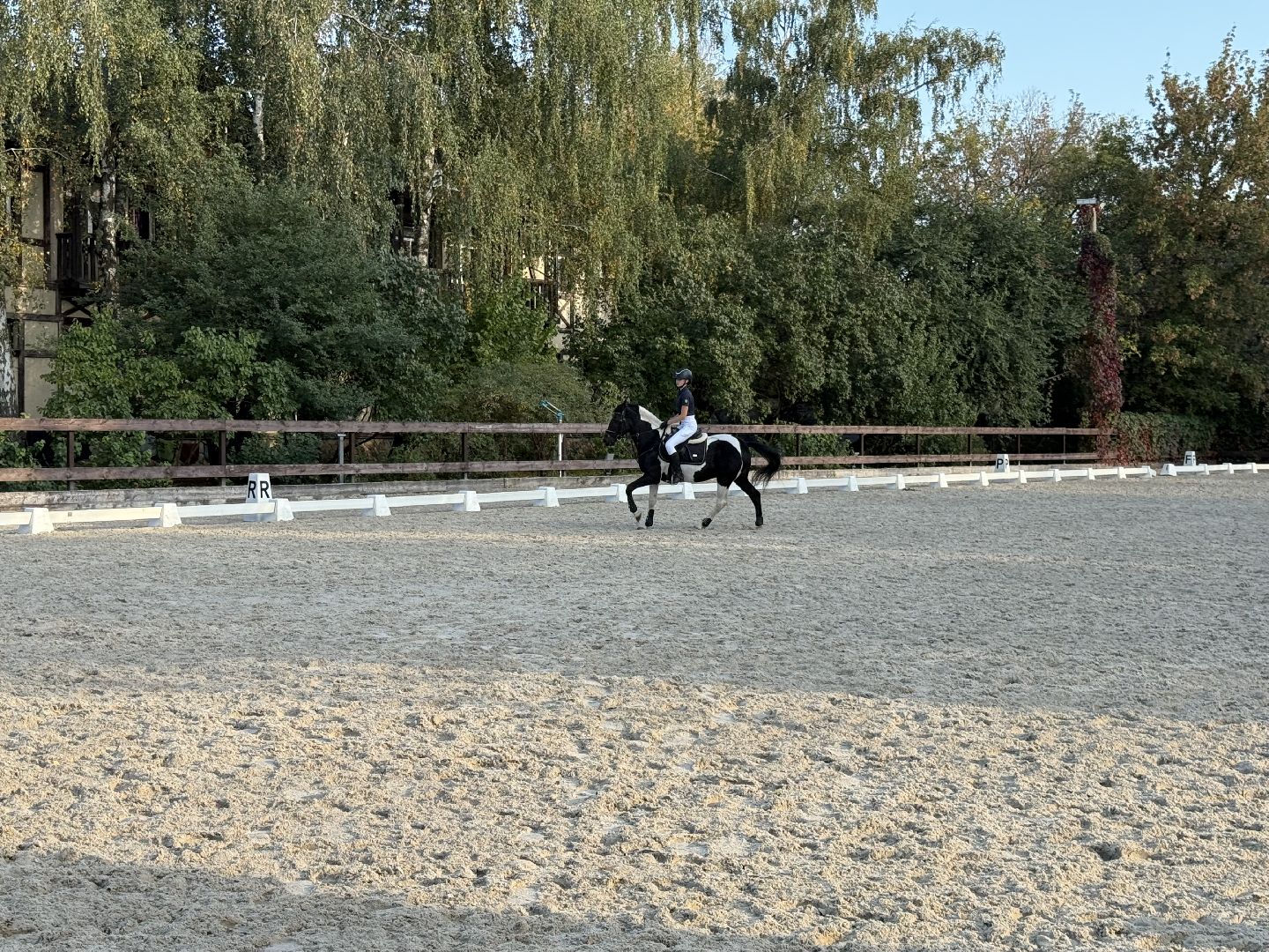 Котельники, Конный спорт, соревнование, Первенство по троеборью, Медалисты,