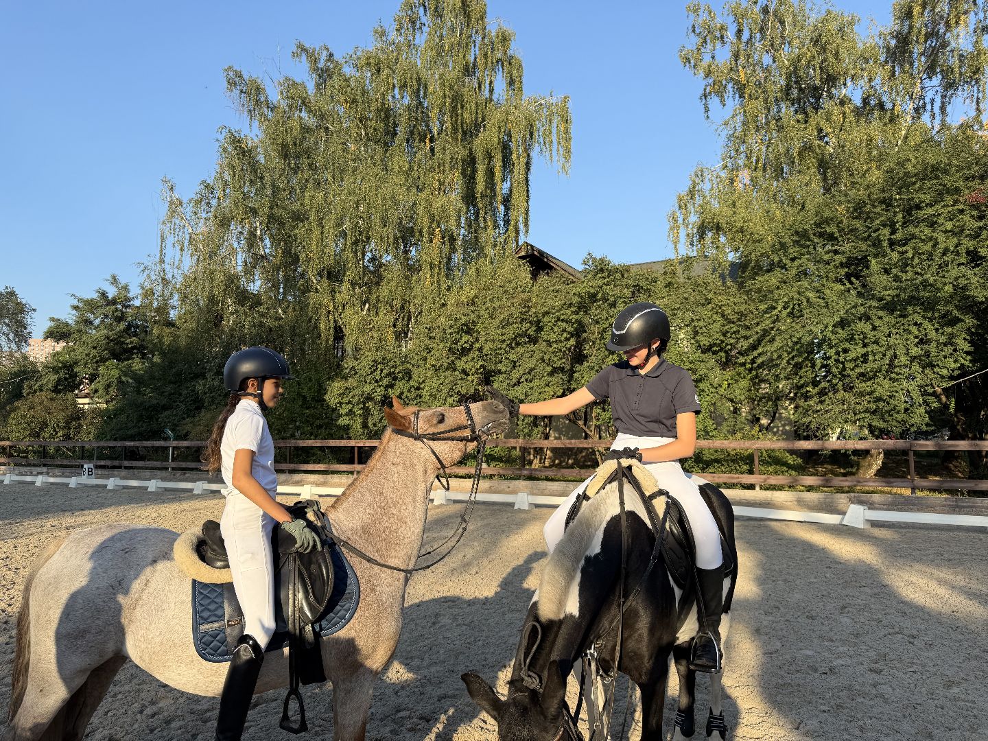 Котельники, Конный спорт, соревнование, Первенство по троеборью, Медалисты,
