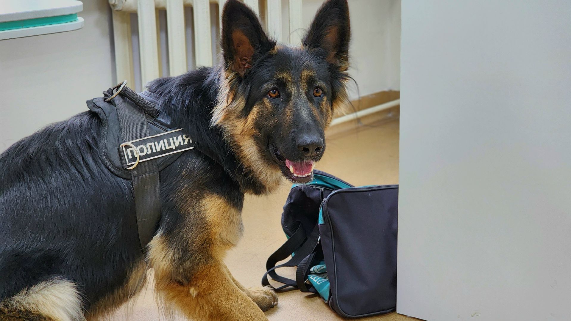 Руза , рузская больница, антитеррористические учения,