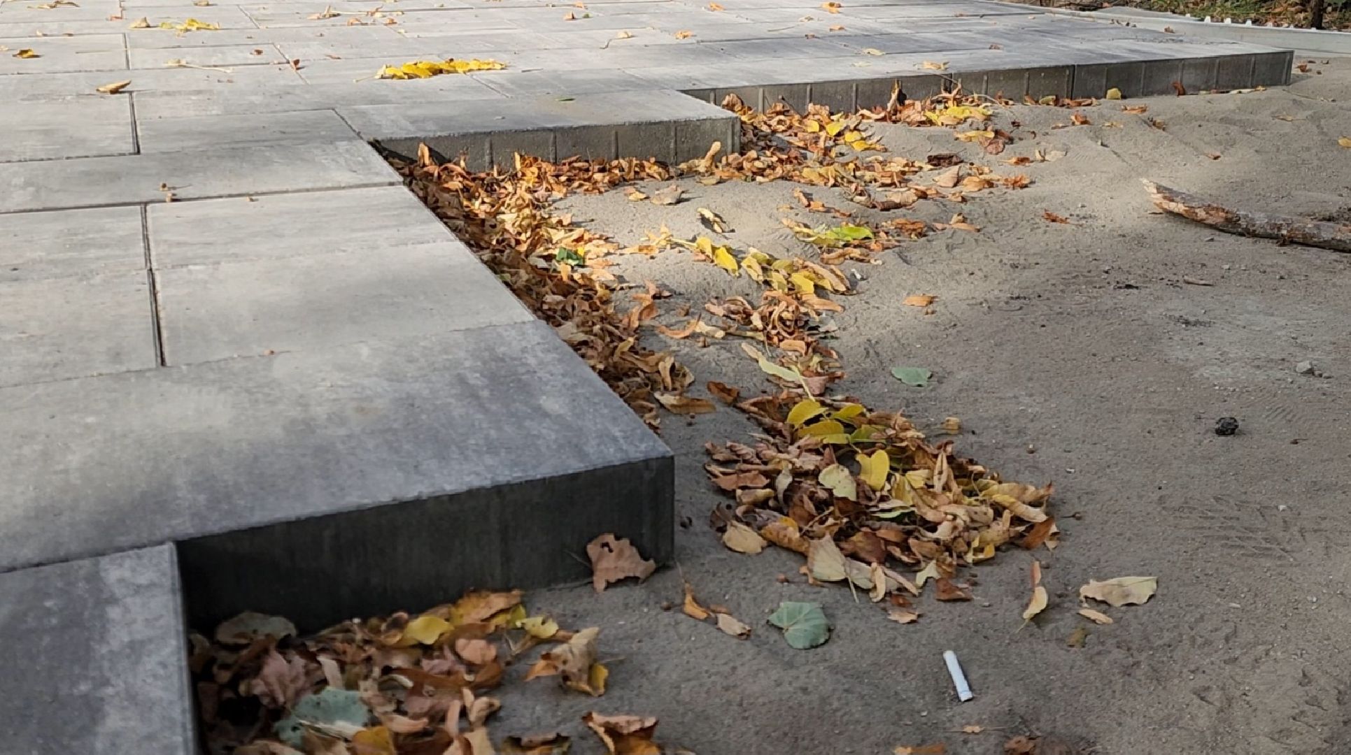 ногинск, благоустройство , сквер, ремонт, общество, жители,