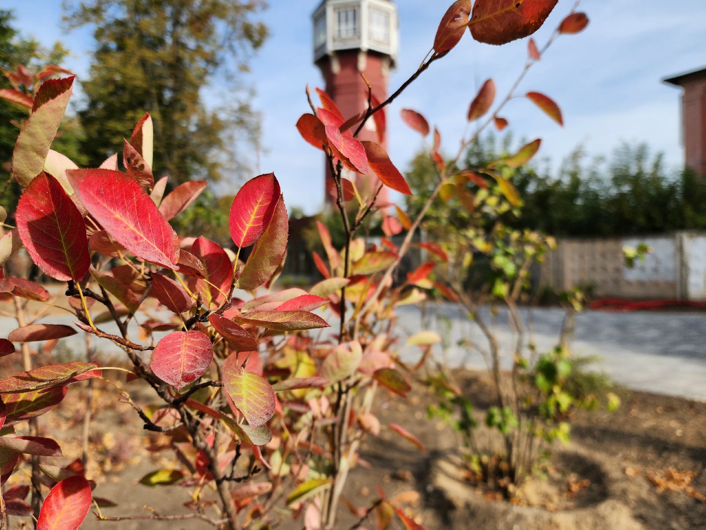 ногинск, благоустройство , сквер, ремонт, общество, жители,