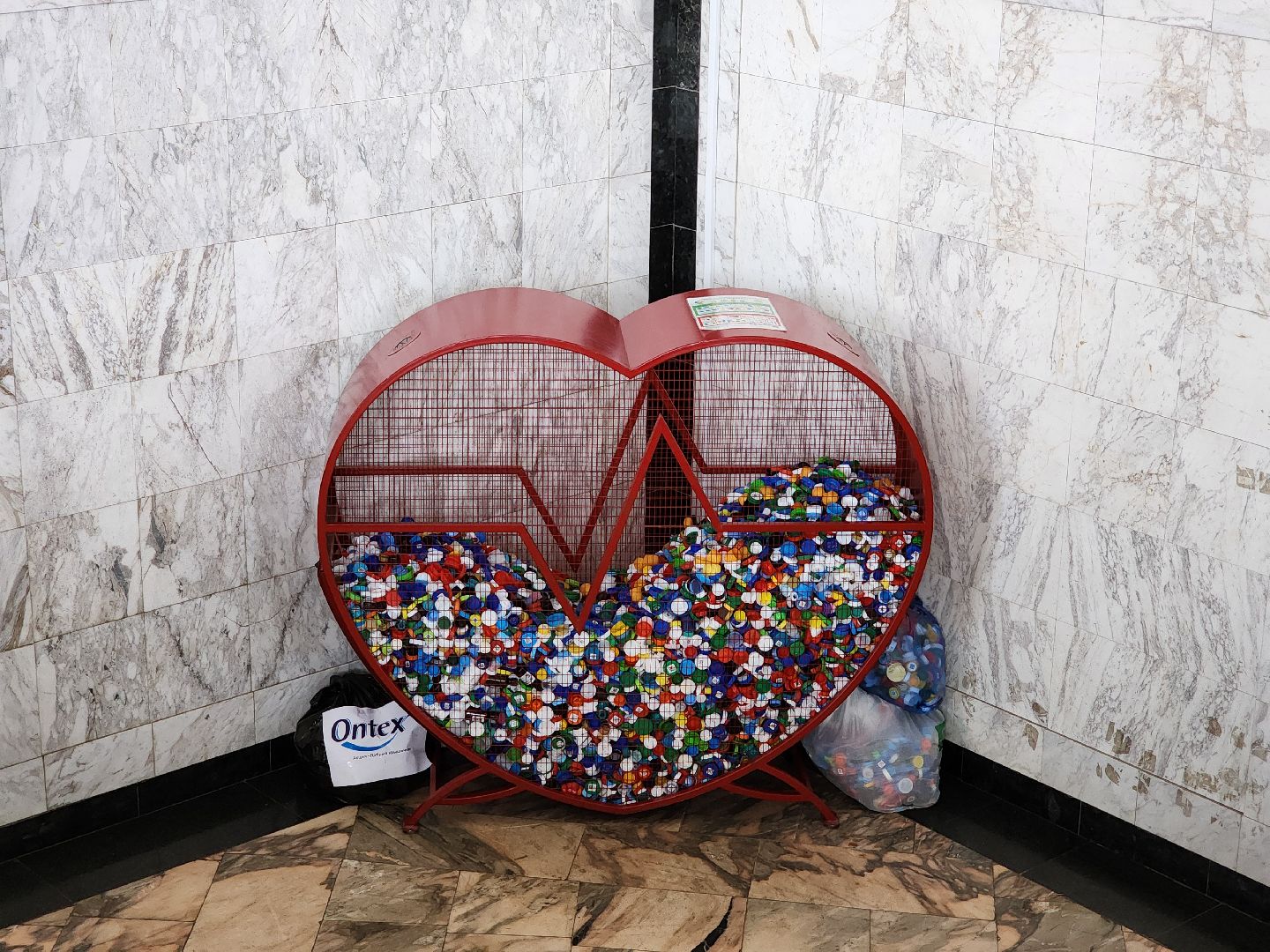 экологическая акция, переработка вторсырья, полезные крышечки, ногинск, богородский городской округ,