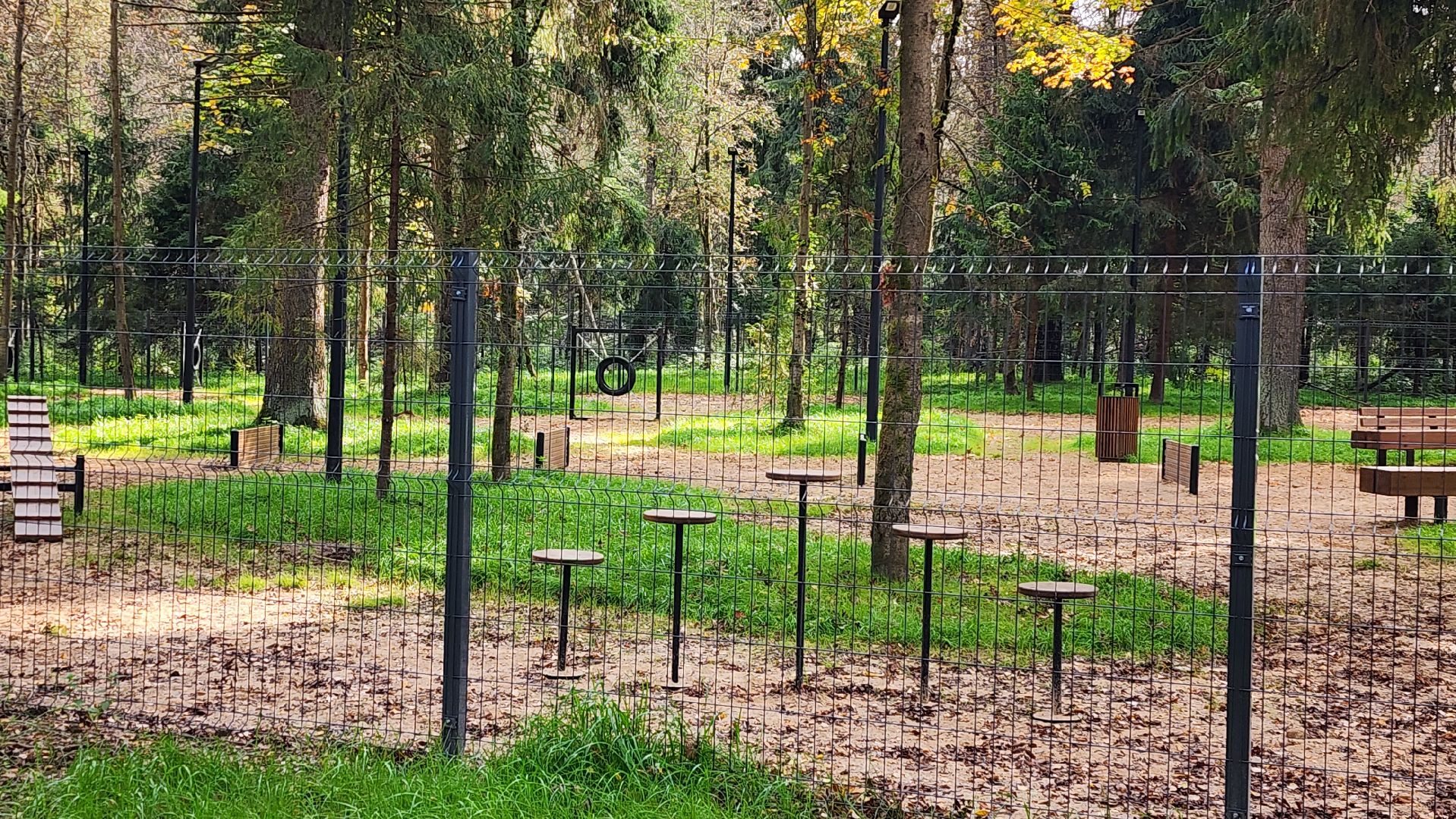 благоустройство, истра, лесопарк,