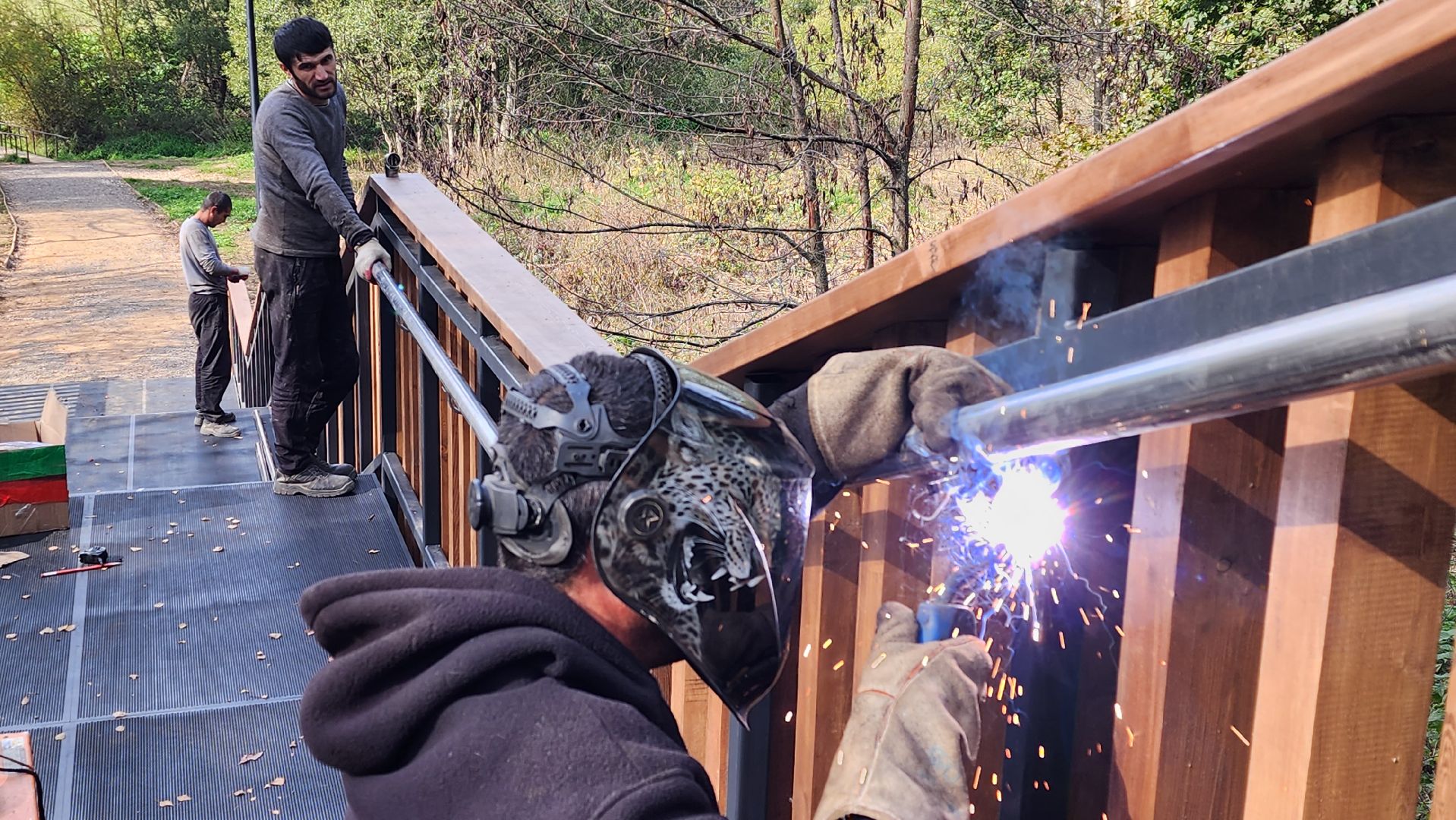 благоустройство, истра, лесопарк,