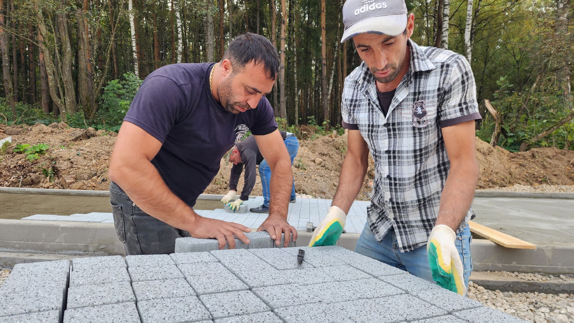 благоустройство, истра, лесопарк,