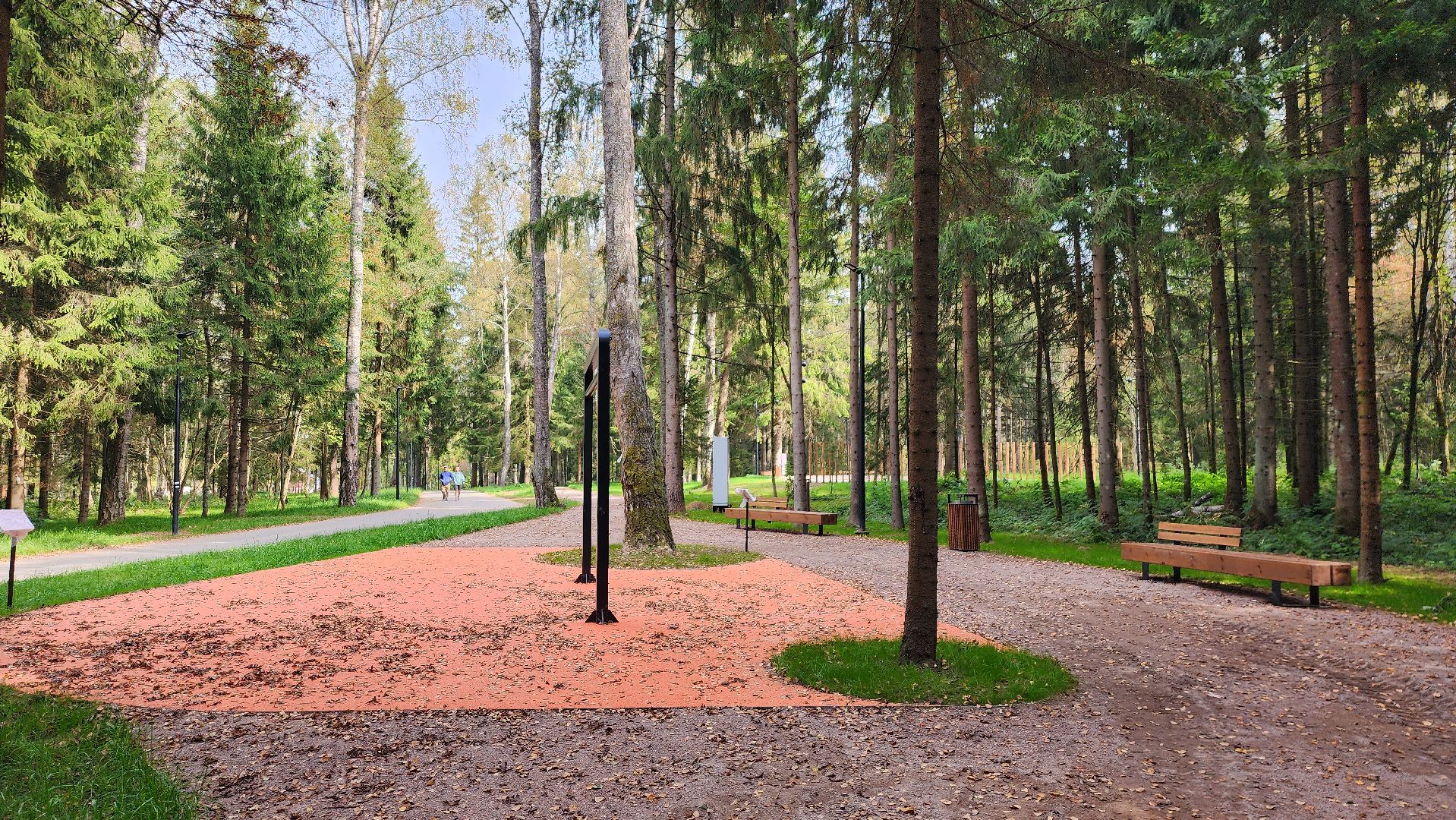 благоустройство, истра, лесопарк,