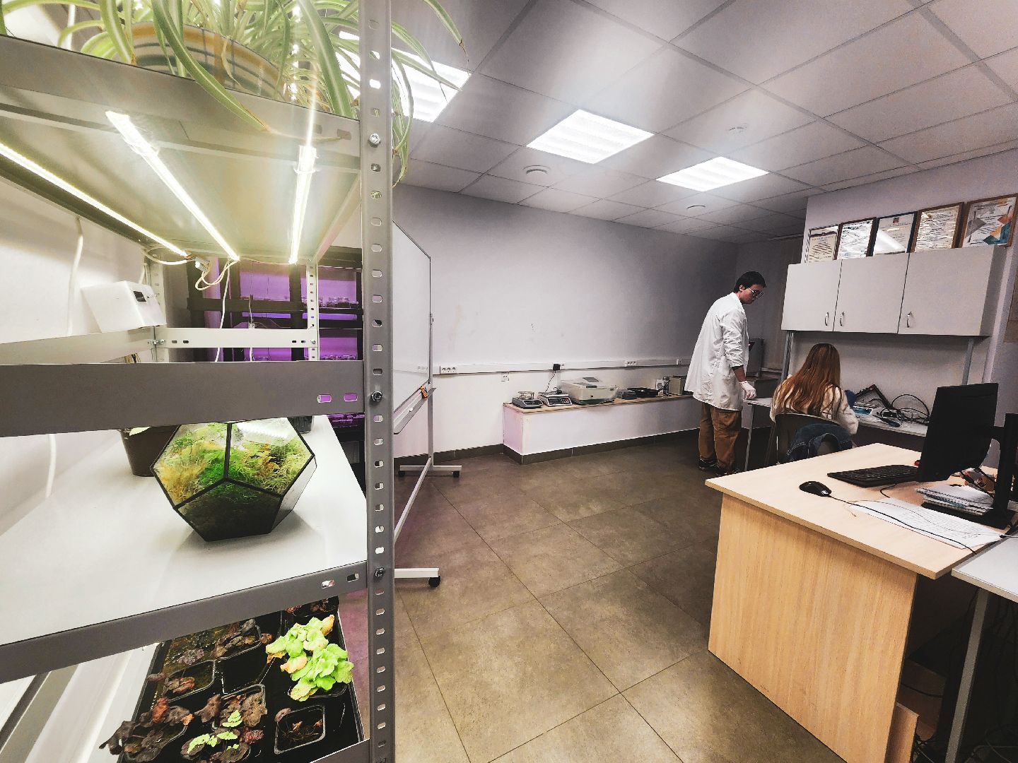 пущино, серпухов, образование, дополнительное образование, наука в школе,